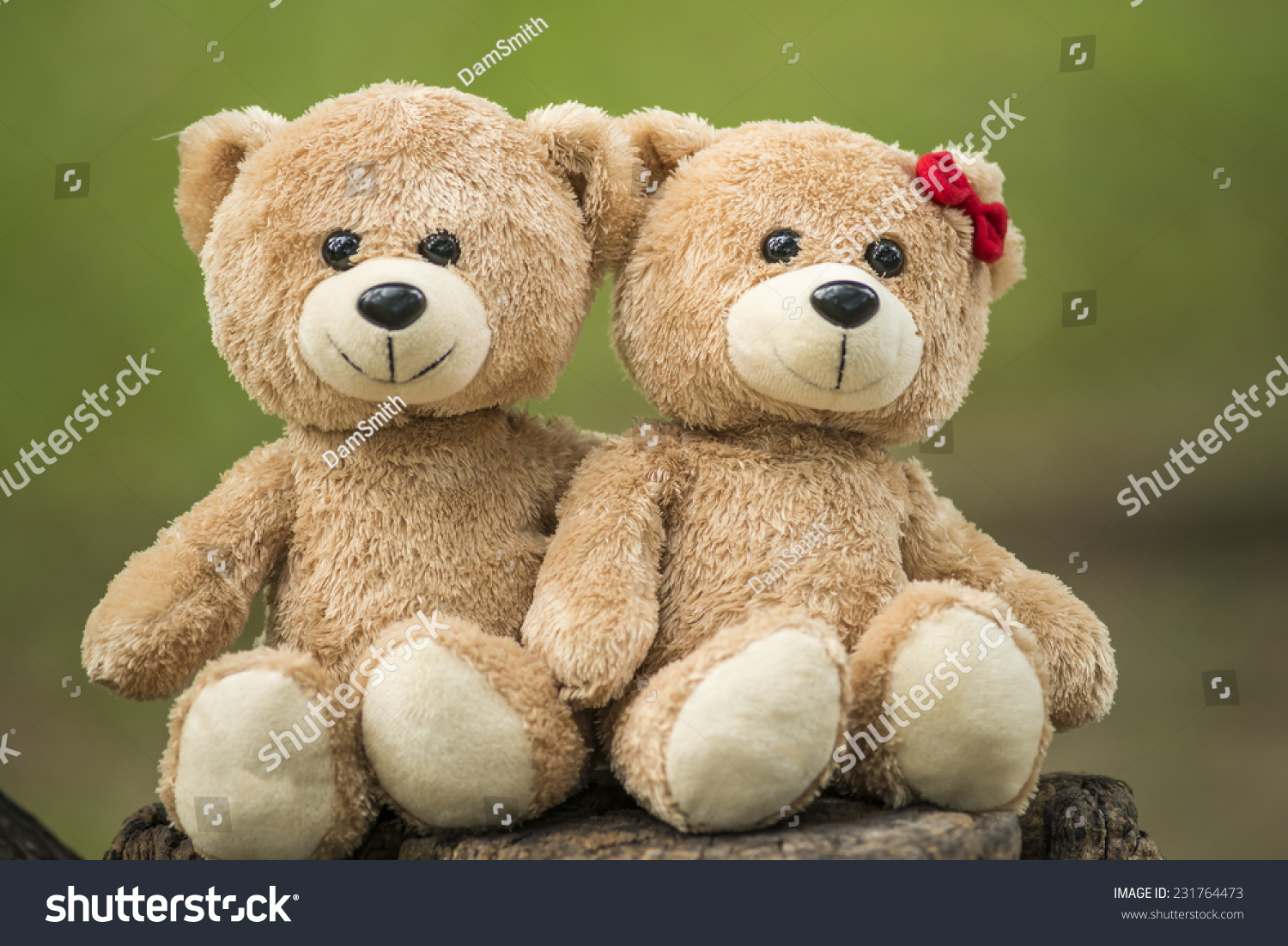 twin teddy bears