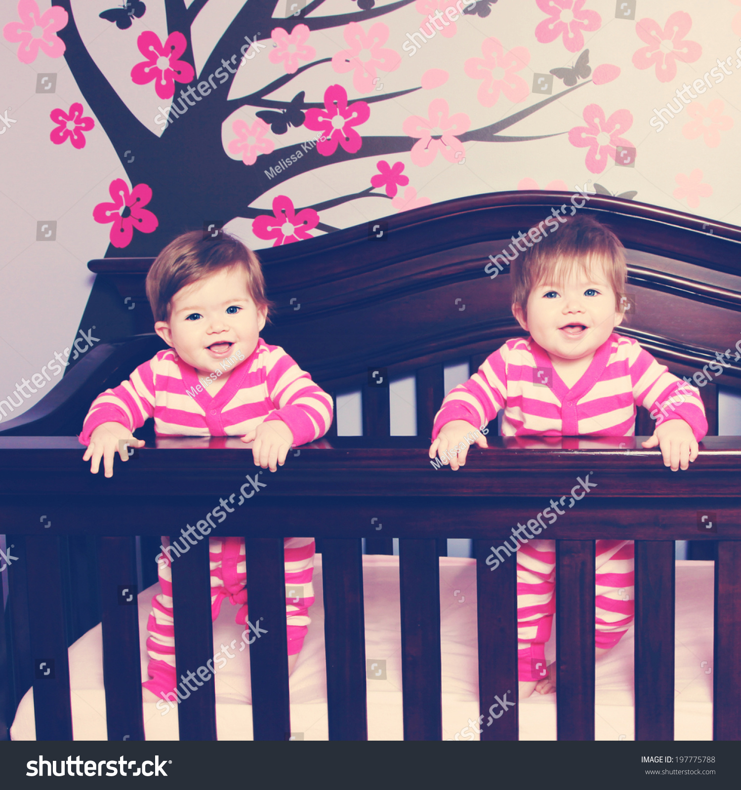 Twins Crib Twin Baby Girls Together Stock Photo Edit Now 197775788