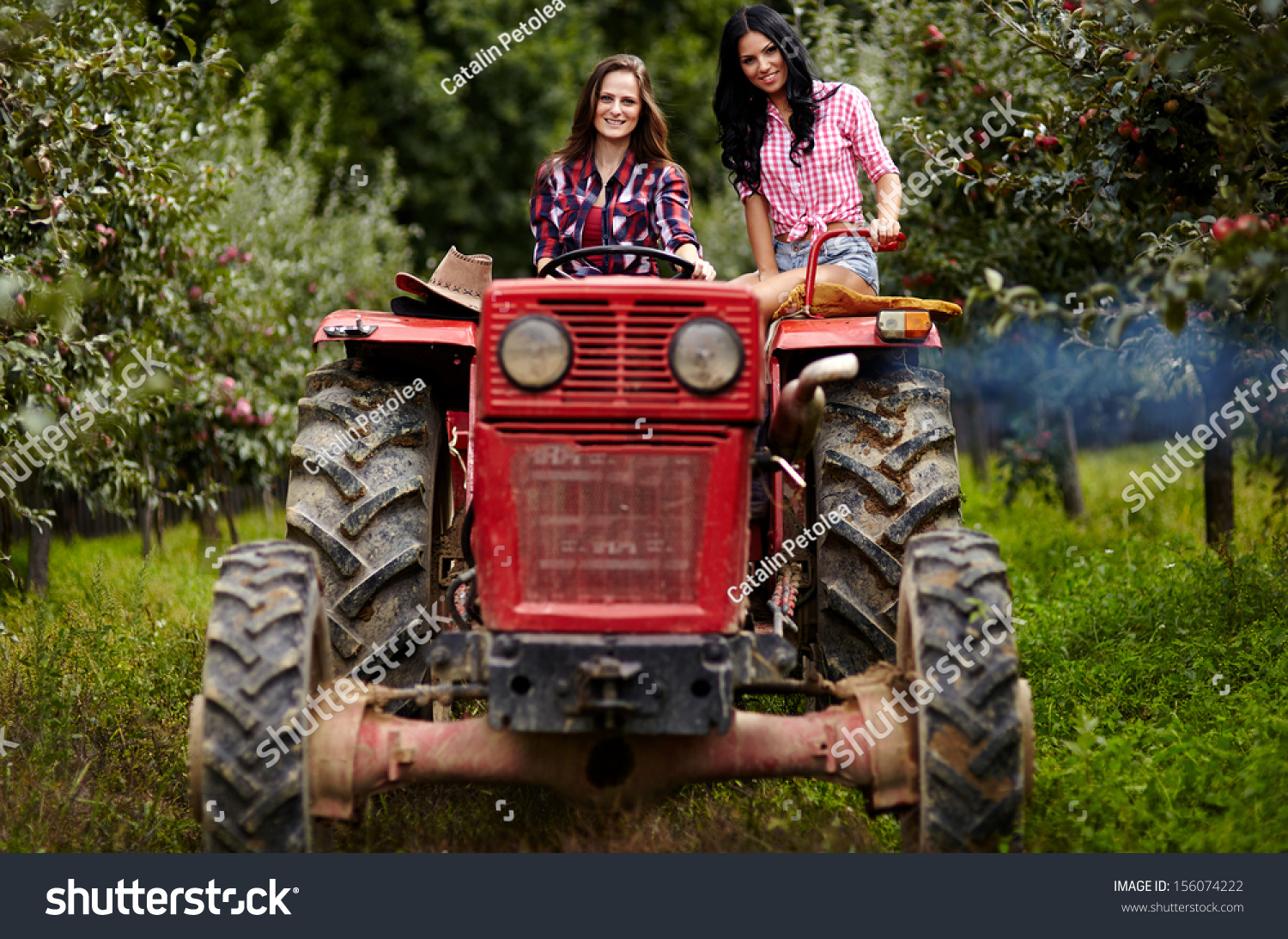 Two Attractive Female Farmers Driving The Tractor In The Orchard Stock ...