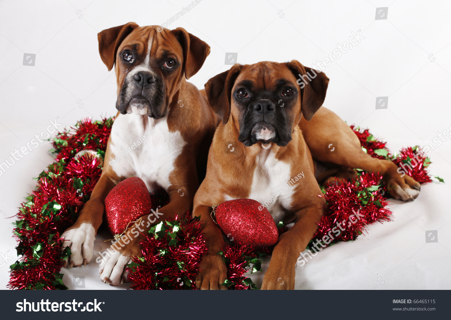 Boxer Dog Christmas Yard Decoration 