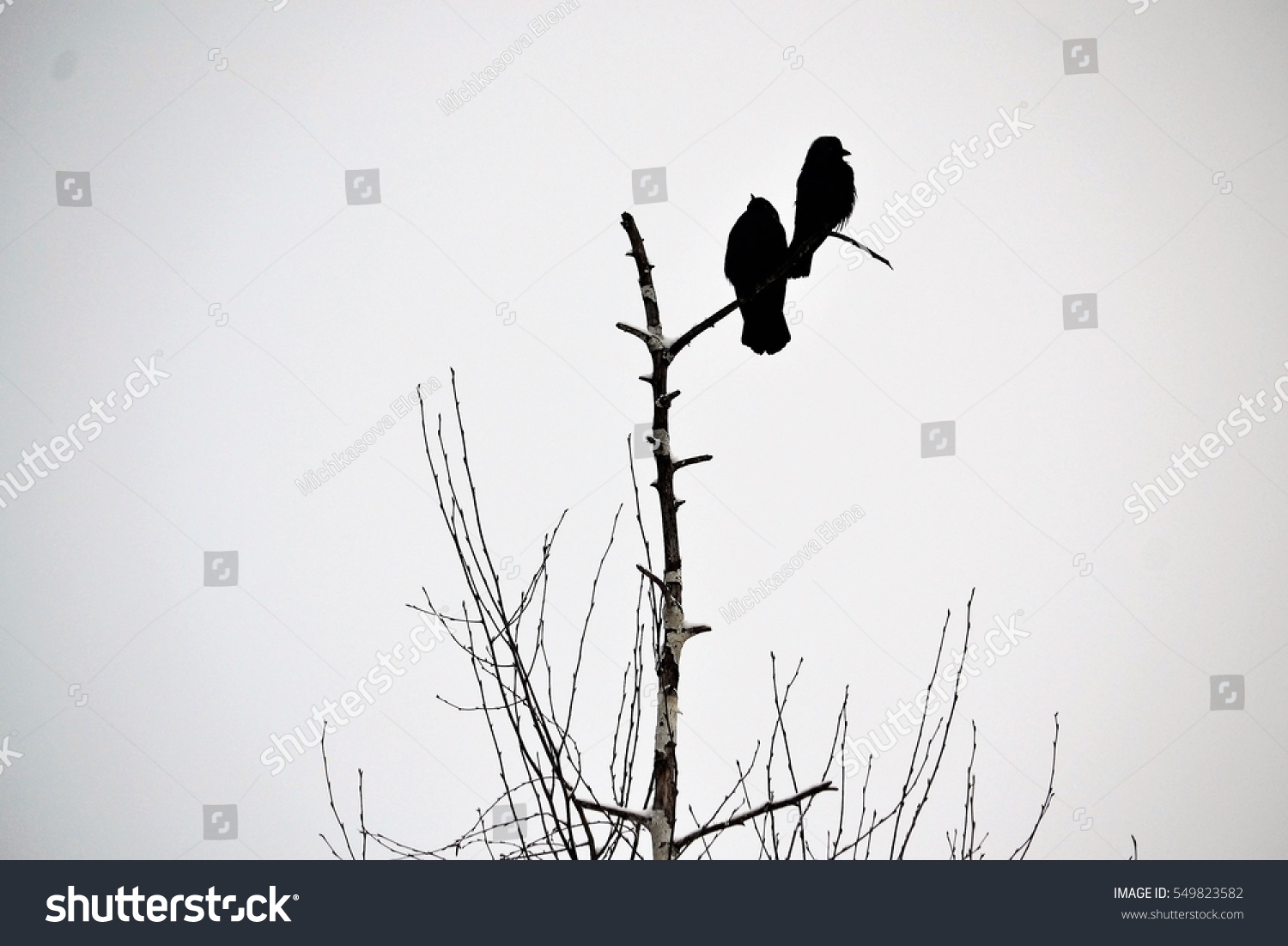 Three black crows sat on a tree