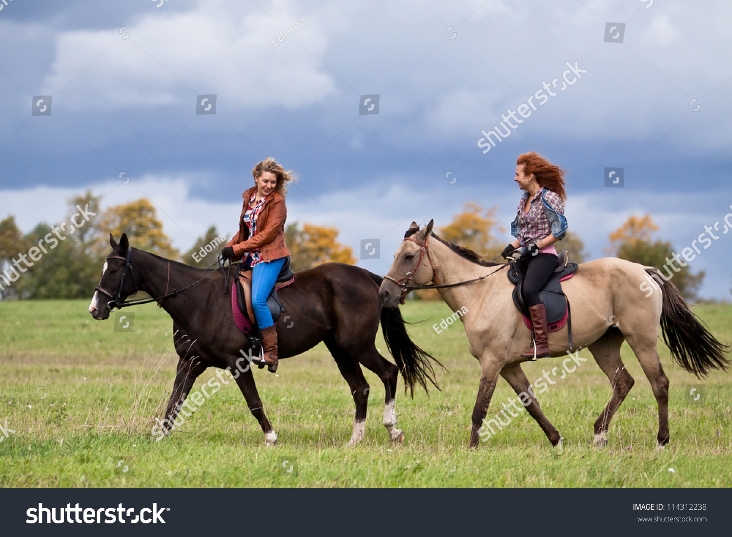 Two Girls Ride Beautiful Akhalteke Horses Stock Photo 114312238 ...