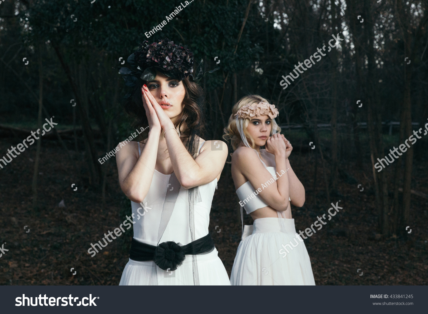 Two Girls Wedding Dresses One Bridge Stock Photo Edit Now 433841245
