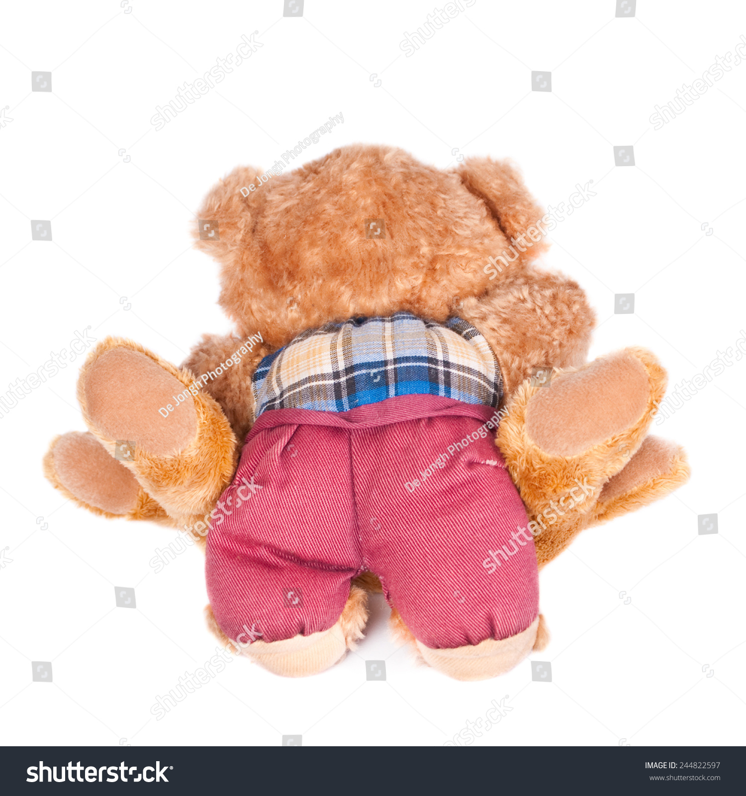 Sex With Teddy Bear – Porn Sex Photos