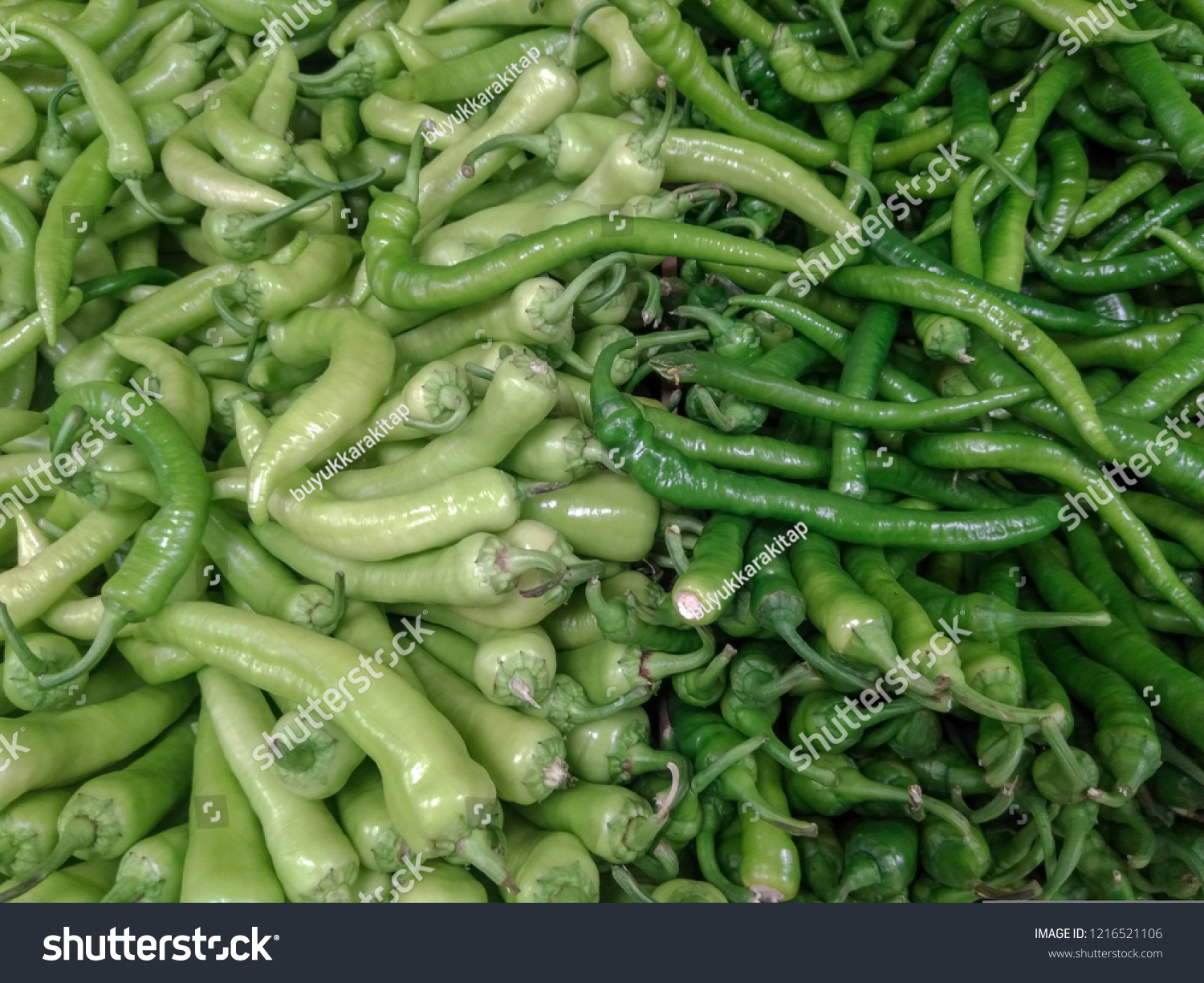 types of green peppers