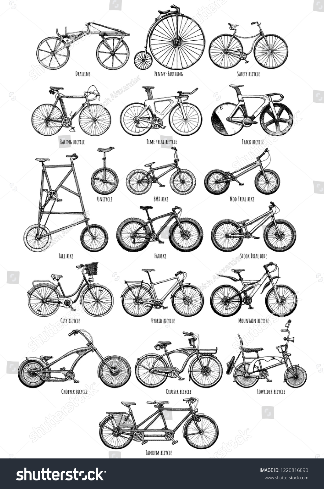 types of lowrider bikes