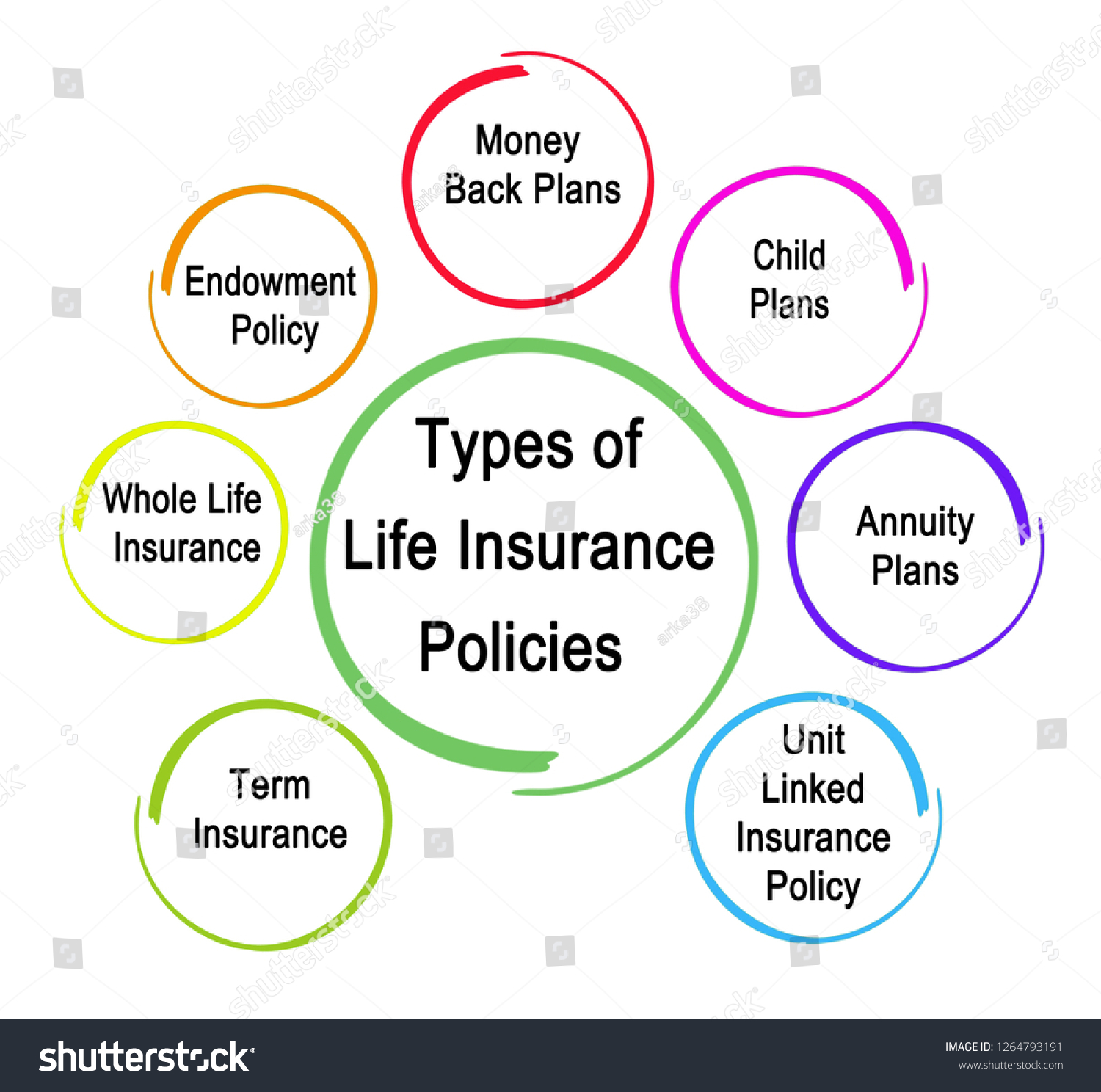 Circle Of Life Insurance : The Basic Elements That Define A Whole Life