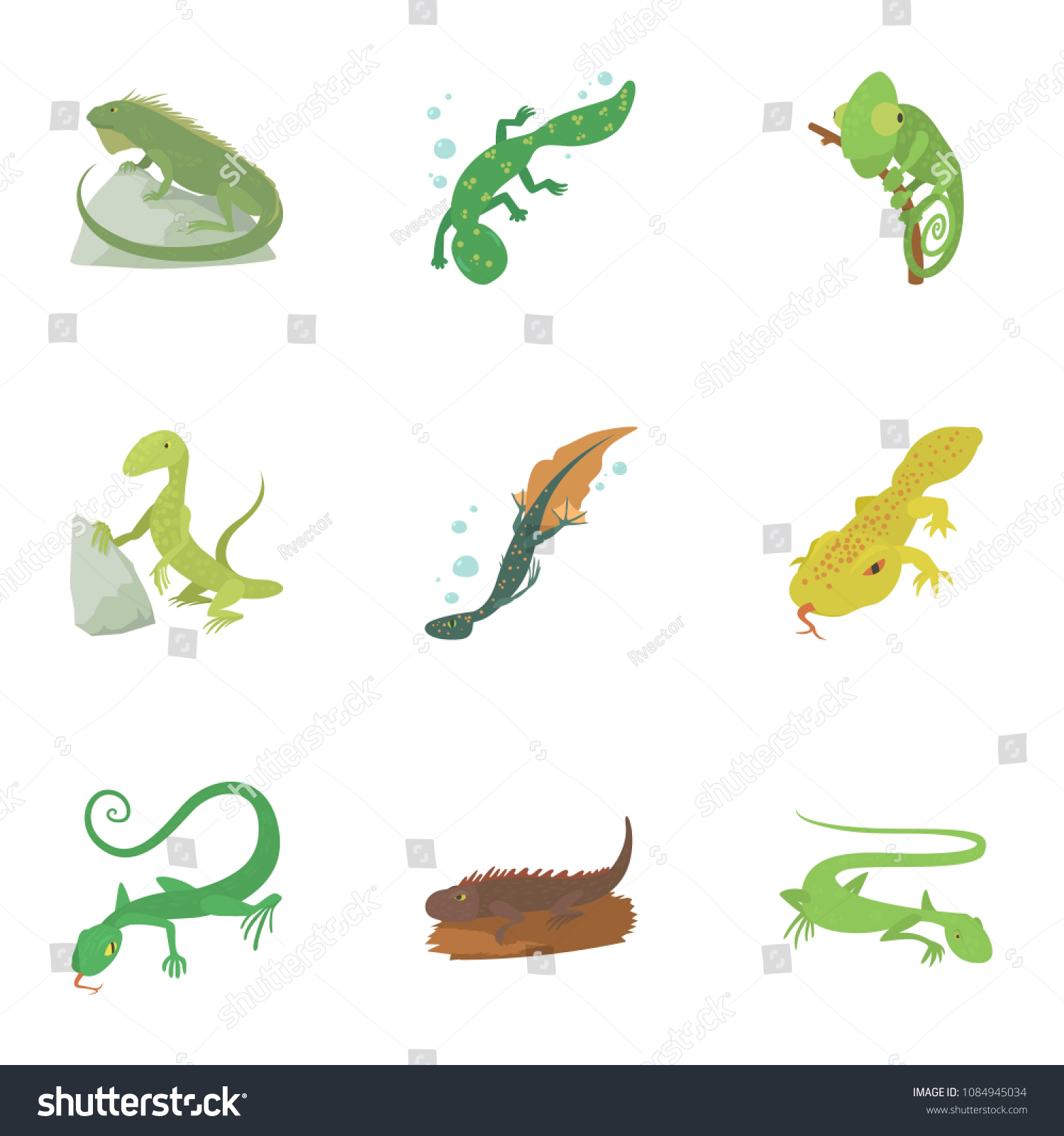 Types Reptile Icons Set Cartoon Set Stock Illustration 1084945034