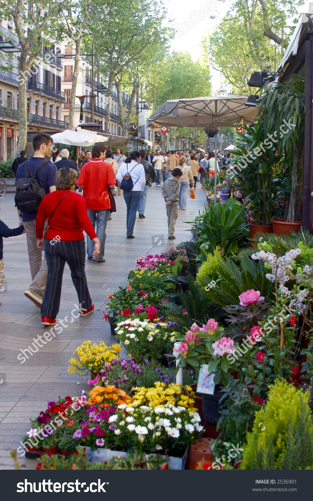 Typical Flower Shops At The Rambla At The City Of Barcelona, Catalunya ...