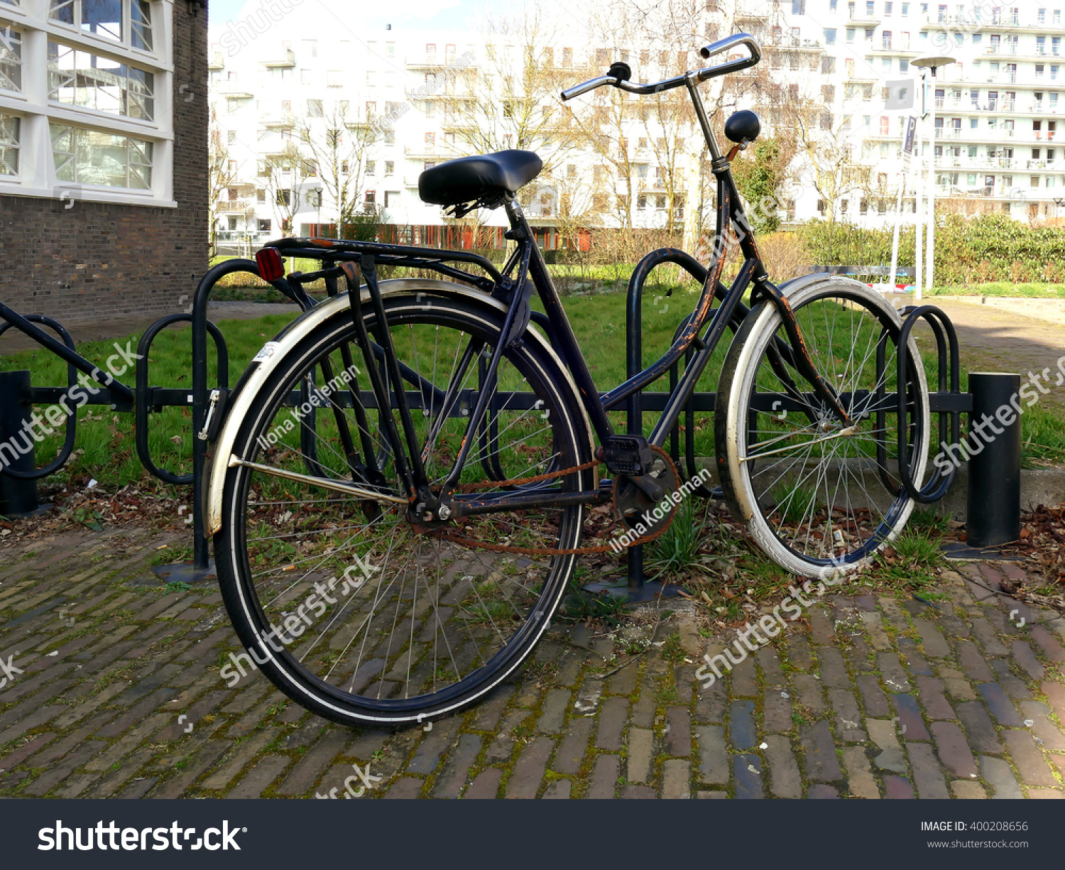 dutch bike saddle