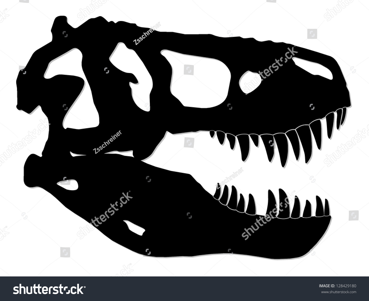 Tyrannosaur Skull Dinosaur Silhouette Illustration Stock Illustration ...