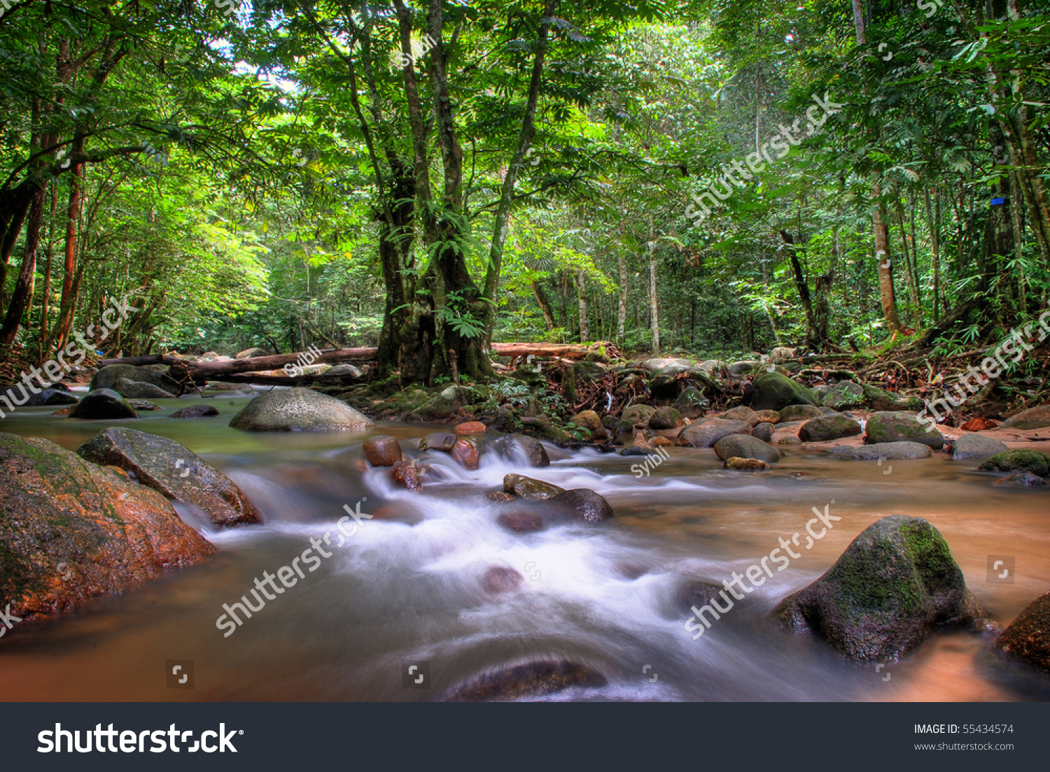 Ulu Yam River,Malaysia Stock Photo 55434574 : Shutterstock