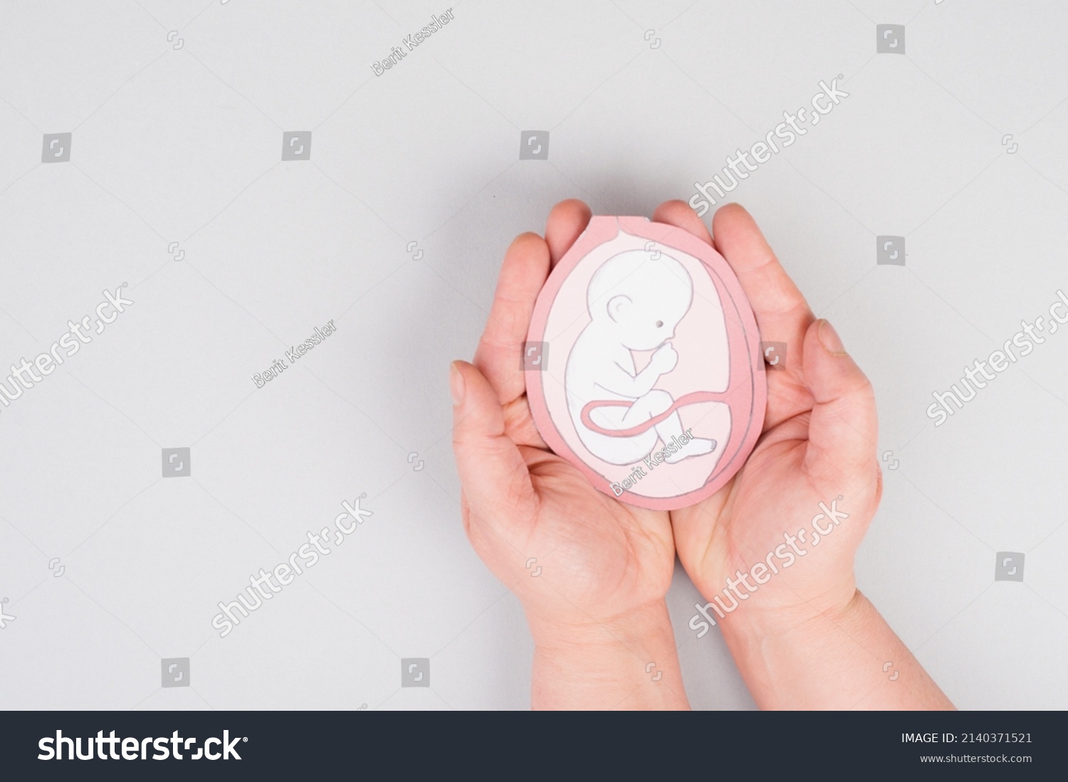 Unborn Baby Uterus Drawing Fetus Last Stock Photo 2140371521 | Shutterstock