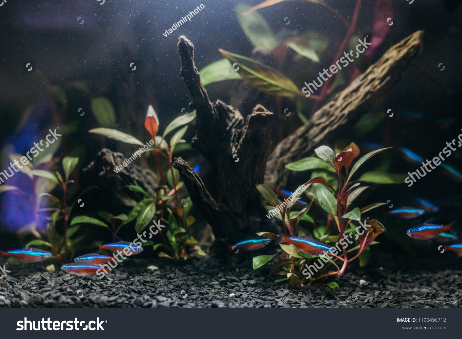 underwater river aquarium ornament