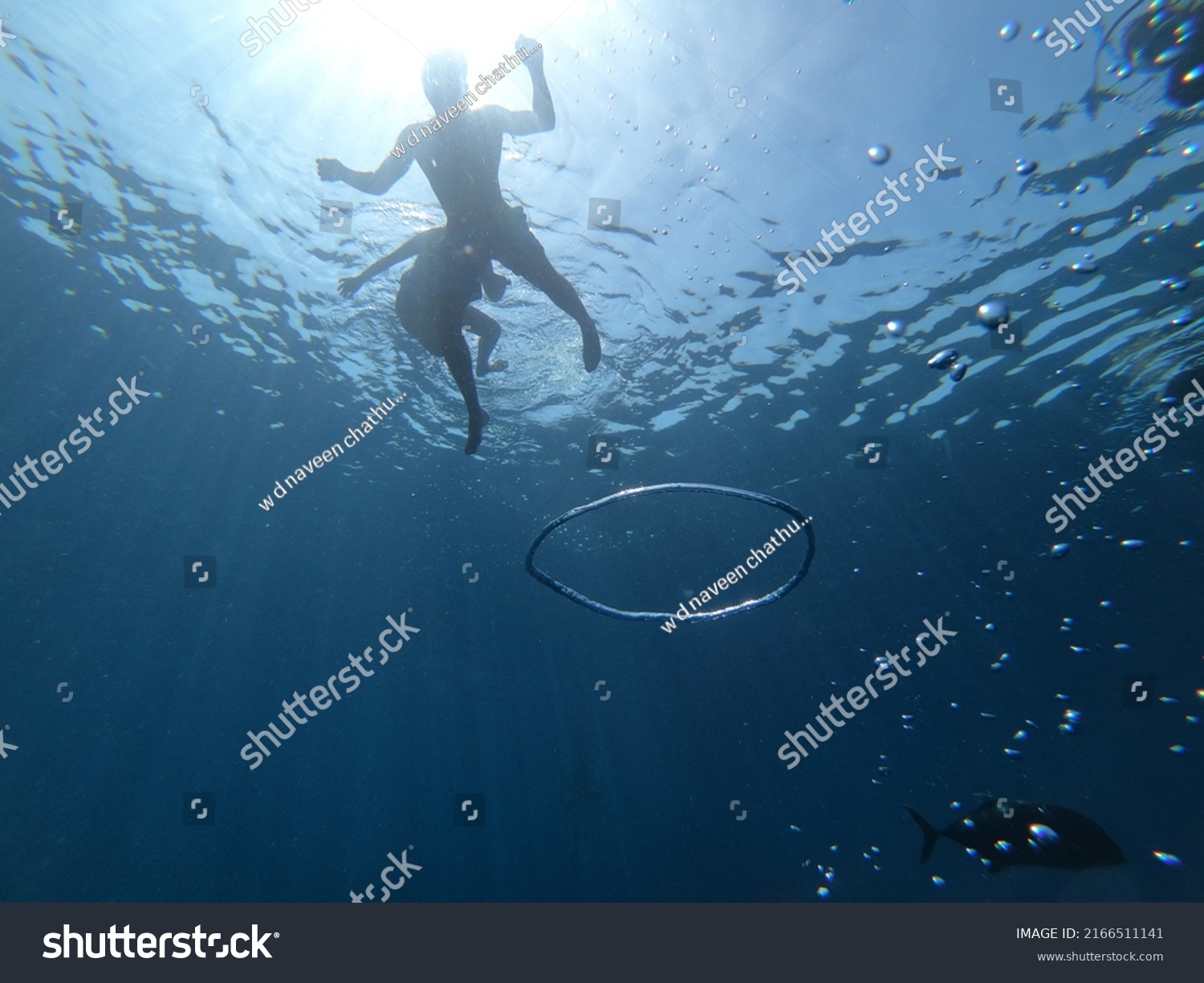 Underwater Discoveries That Cannot Be Explained Stock Photo 2166511141 ...