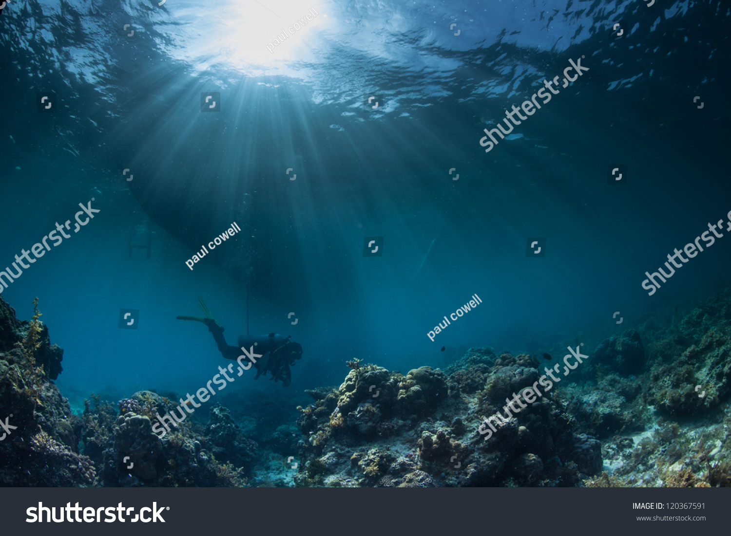 Underwater Sea Scape Stock Photo 120367591 - Shutterstock