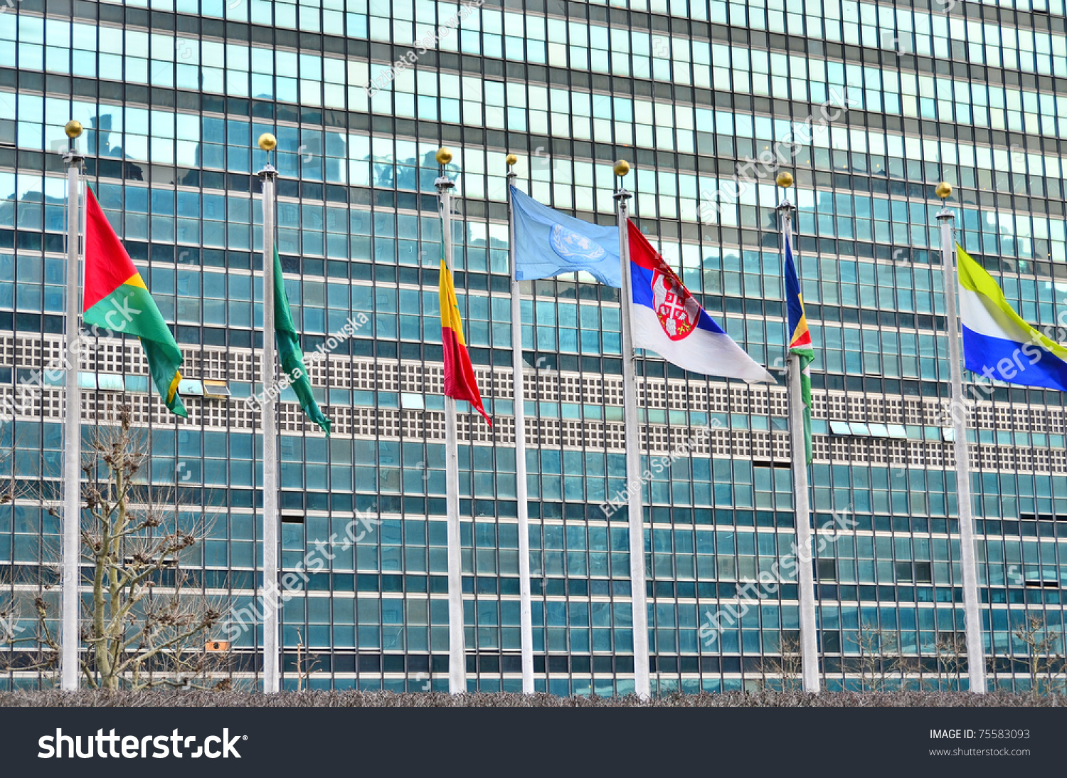 United Nations Building In Nyc And Flag Poles Stock Photo 75583093 ...