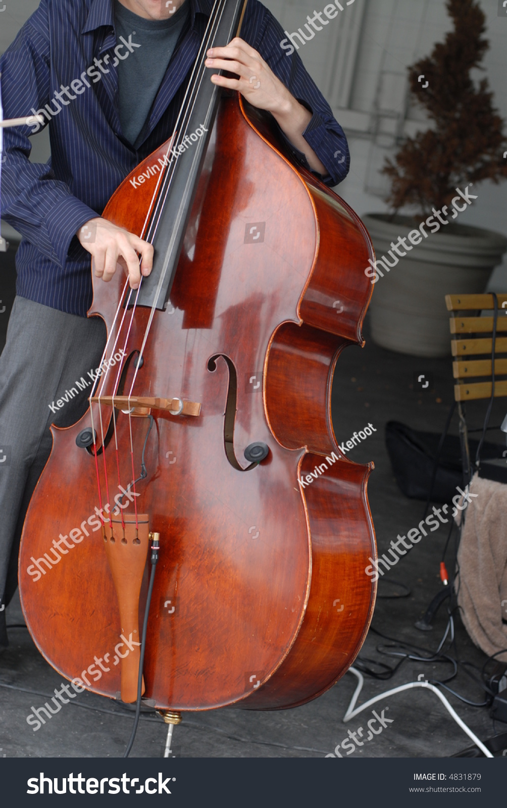 Upright Bass Performer Stock Photo 4831879 Shutterstock