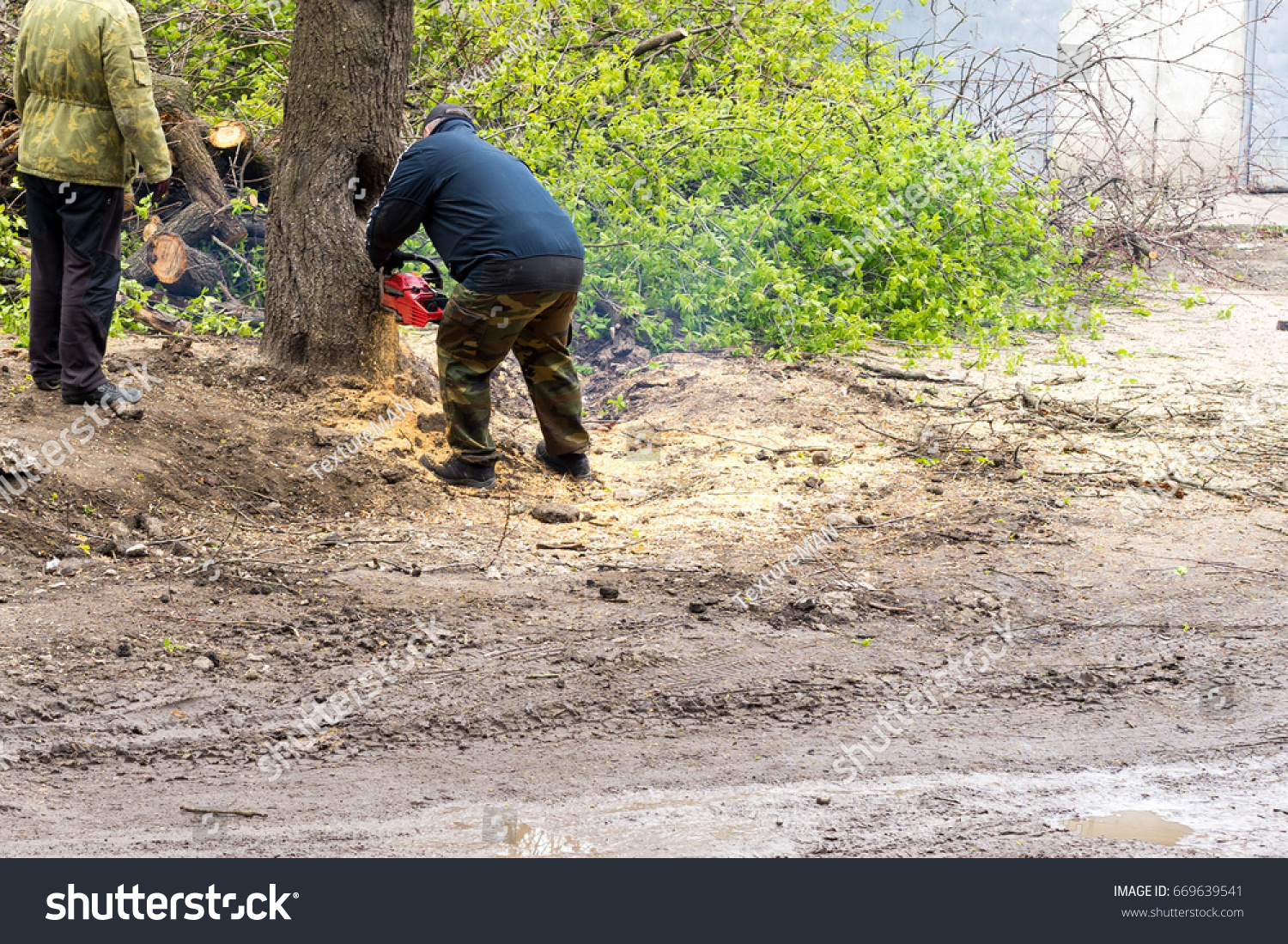 Uprooting stumps 80 Uprooting stumps 84