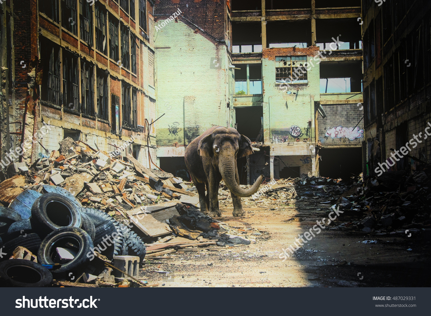 stock-photo-urban-elephant-an-elephant-walking-through-urban-ruins-in-a-post-apocalypse-like-setting-487029331.jpg