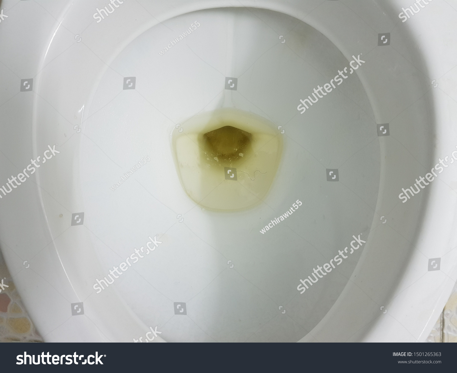 Urine Toilet Bowl Stock Photo 1501265363 Shutterstock