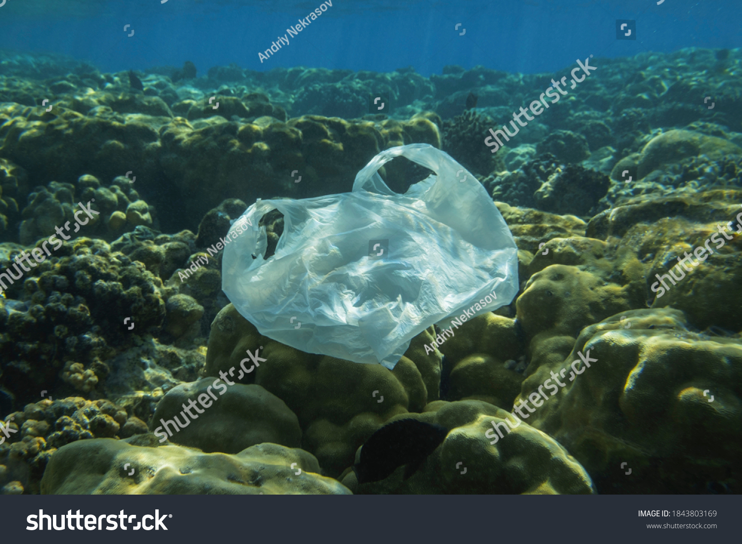 Used White Plastic Bag Slowly Drifting Stock Photo 1843803169 ...