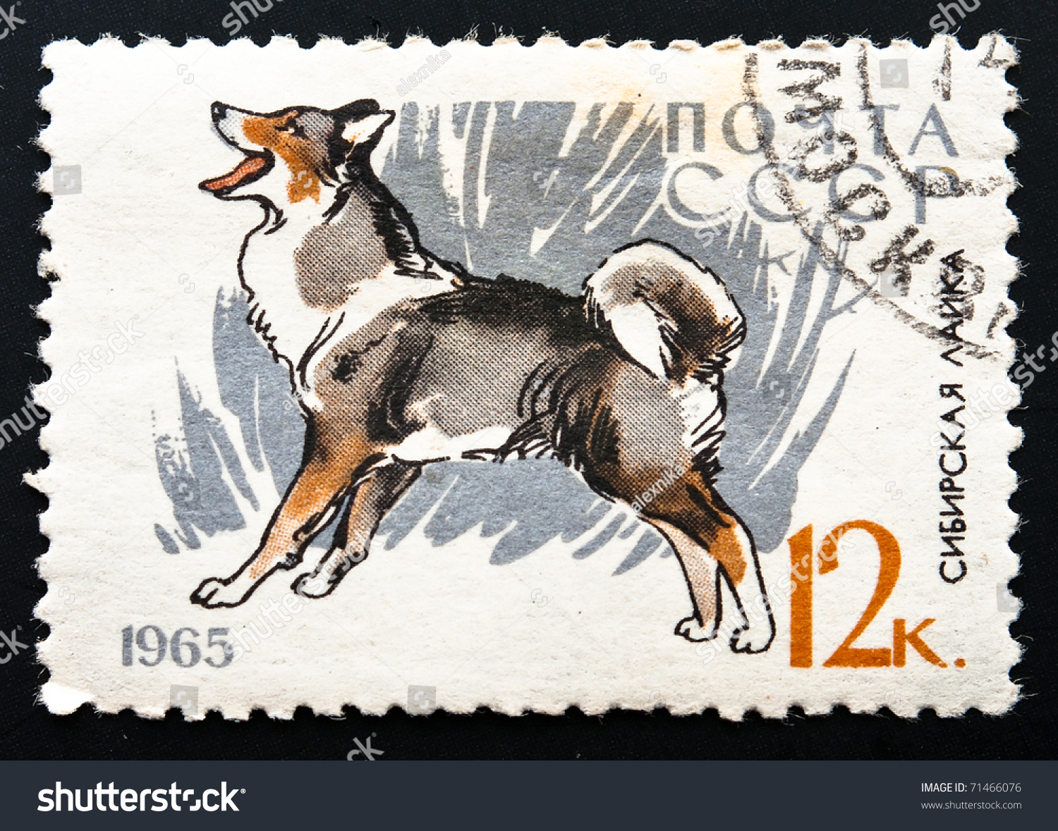 Ussr - Circa 1965: A Stamp Printed By Russia Shows Image Of A Siberian ...