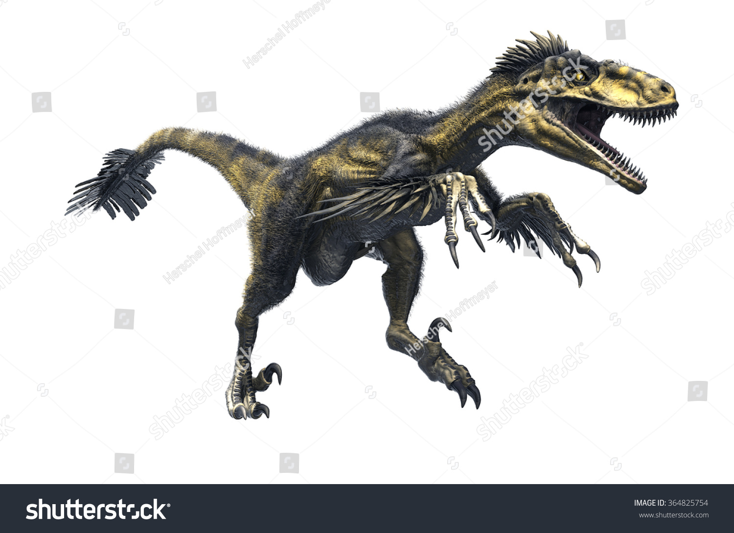 what is the largest raptor dinosaur