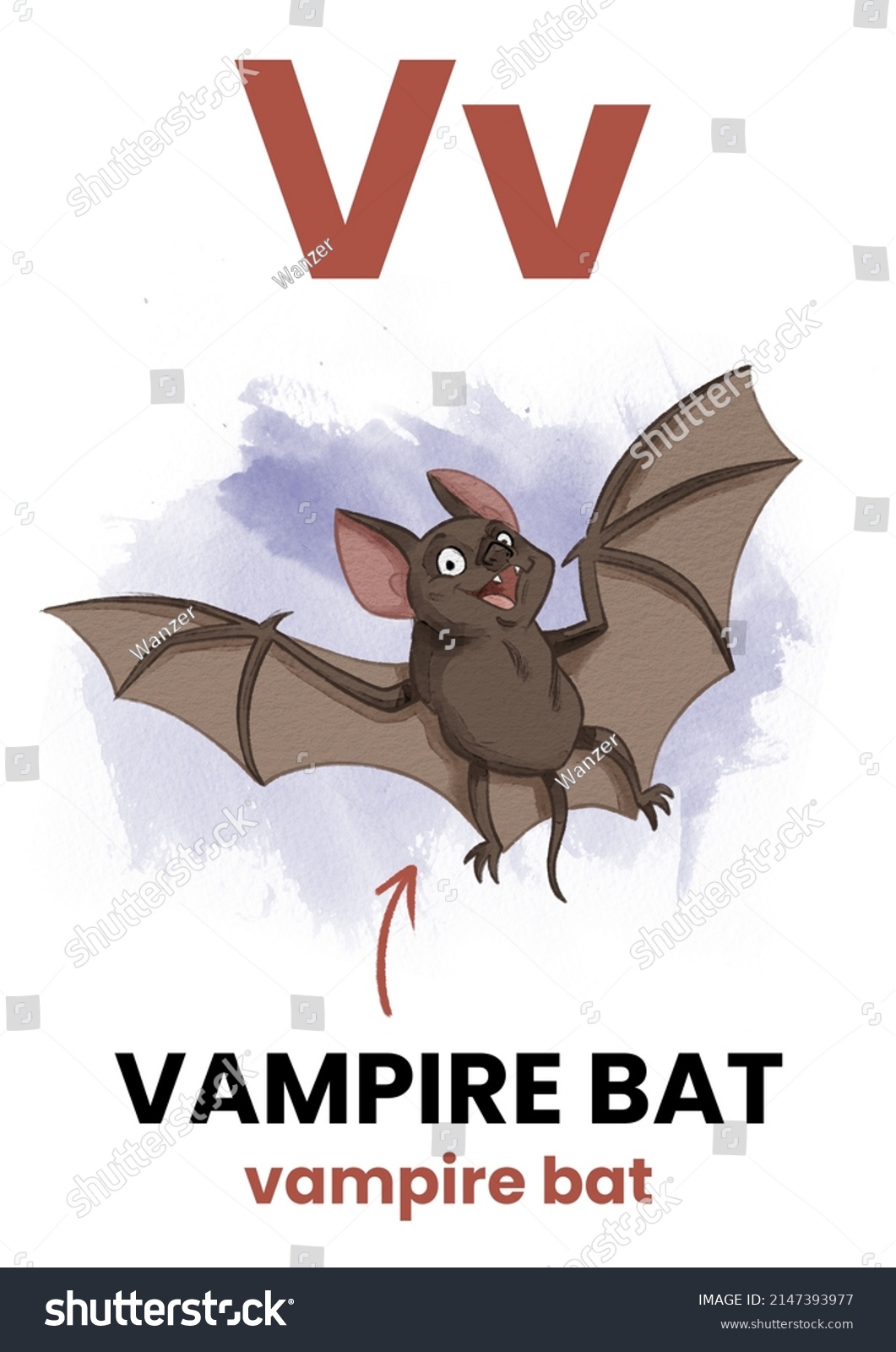 V Letter Animal Flashcard Vampire Bat Stock Illustration 2147393977 ...