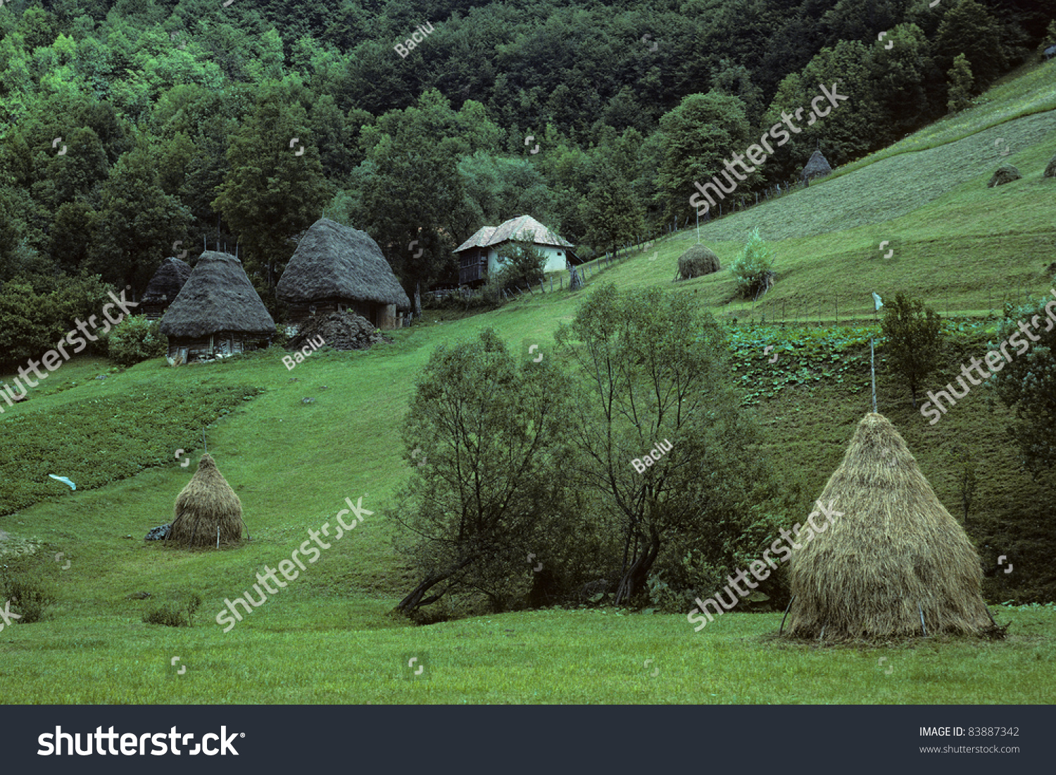 Valea Poienii, Western Carpathians, Romania Stock Photo 83887342 ...