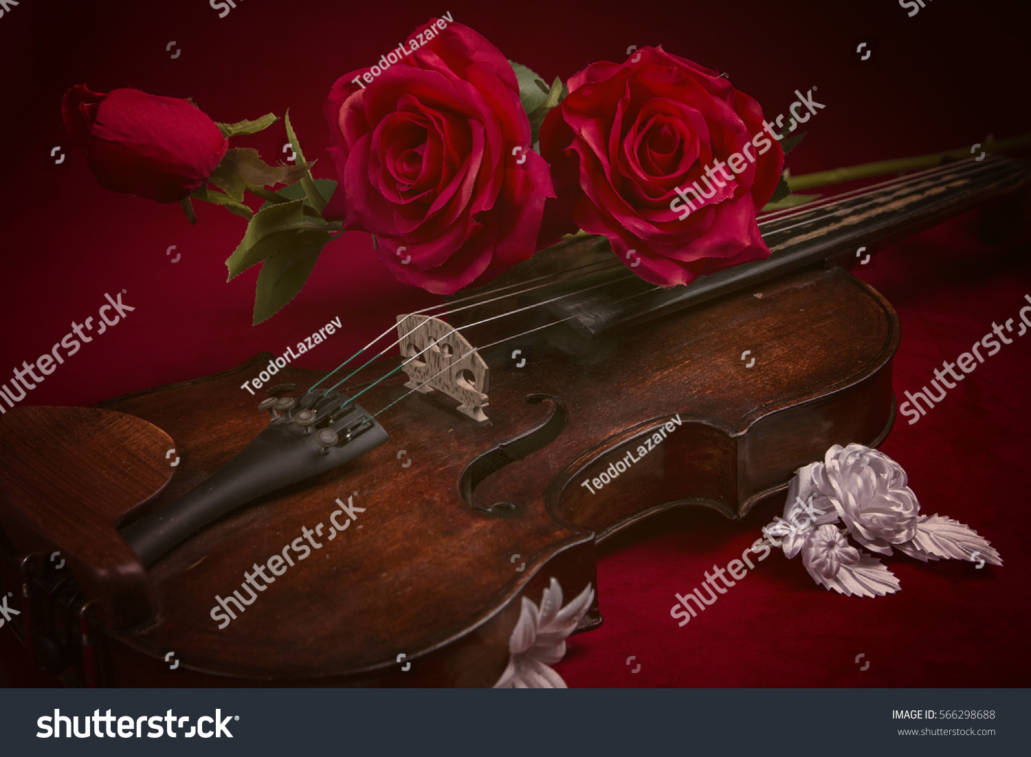 valentine violin red roses on dark stock photo royalty free red silk sheet