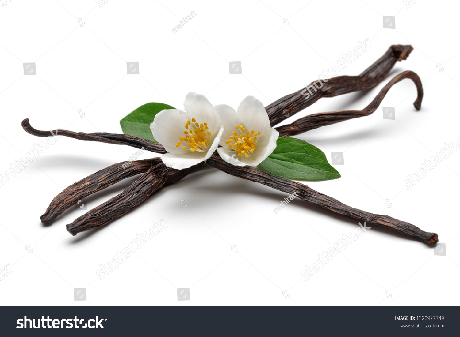 Vanilla Bean Jasmine Flower Leaf Isolated Stock Photo Edit Now 1320927749