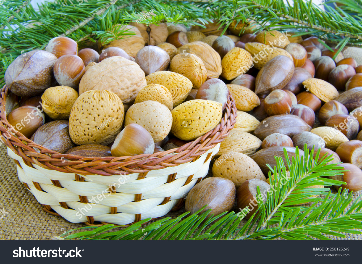 Variety Mixed Nuts Fir Branch Stock Photo 258125249 - Shutterstock