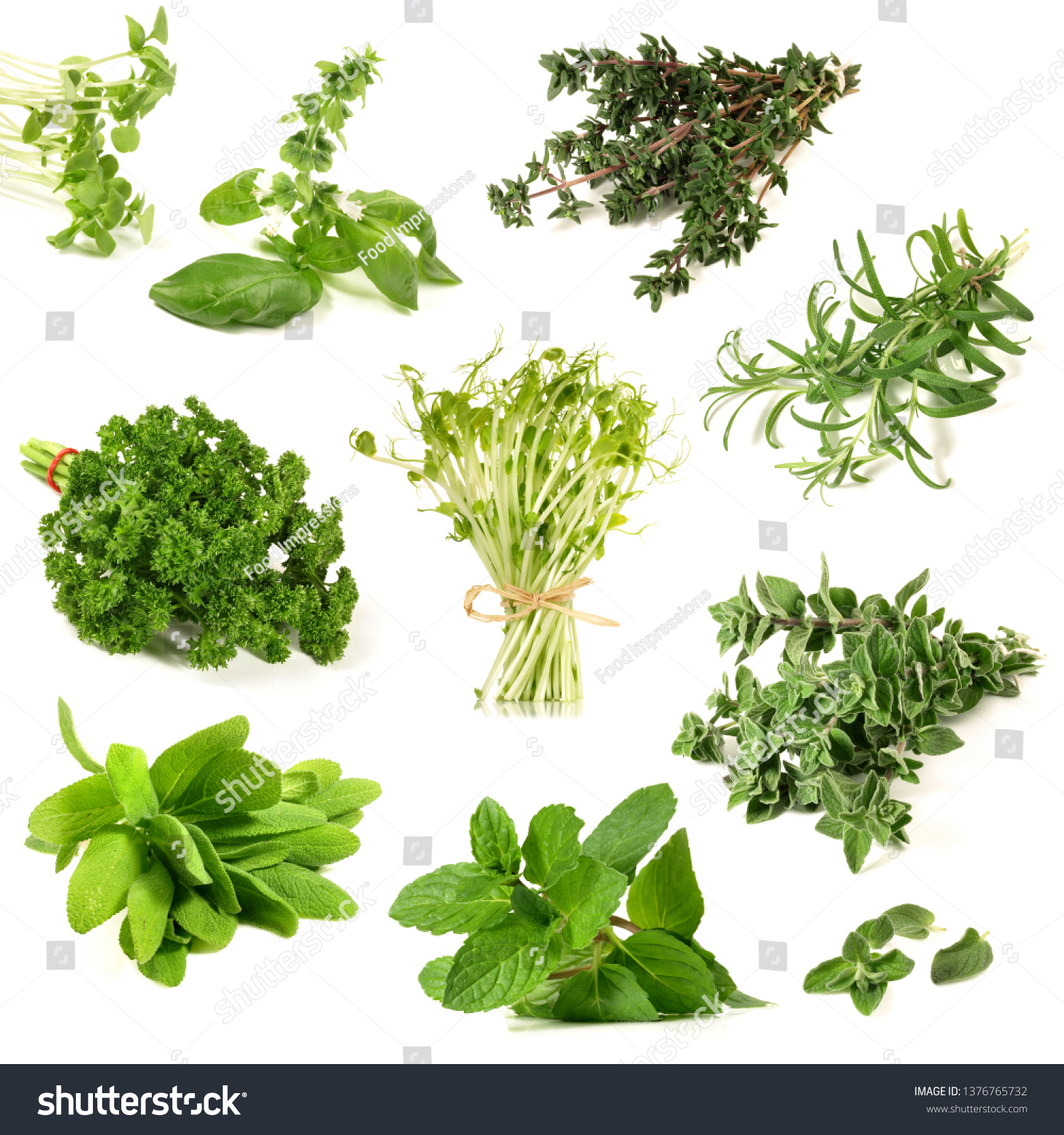 Various Herbs On White Background Stock Photo 1376765732 | Shutterstock