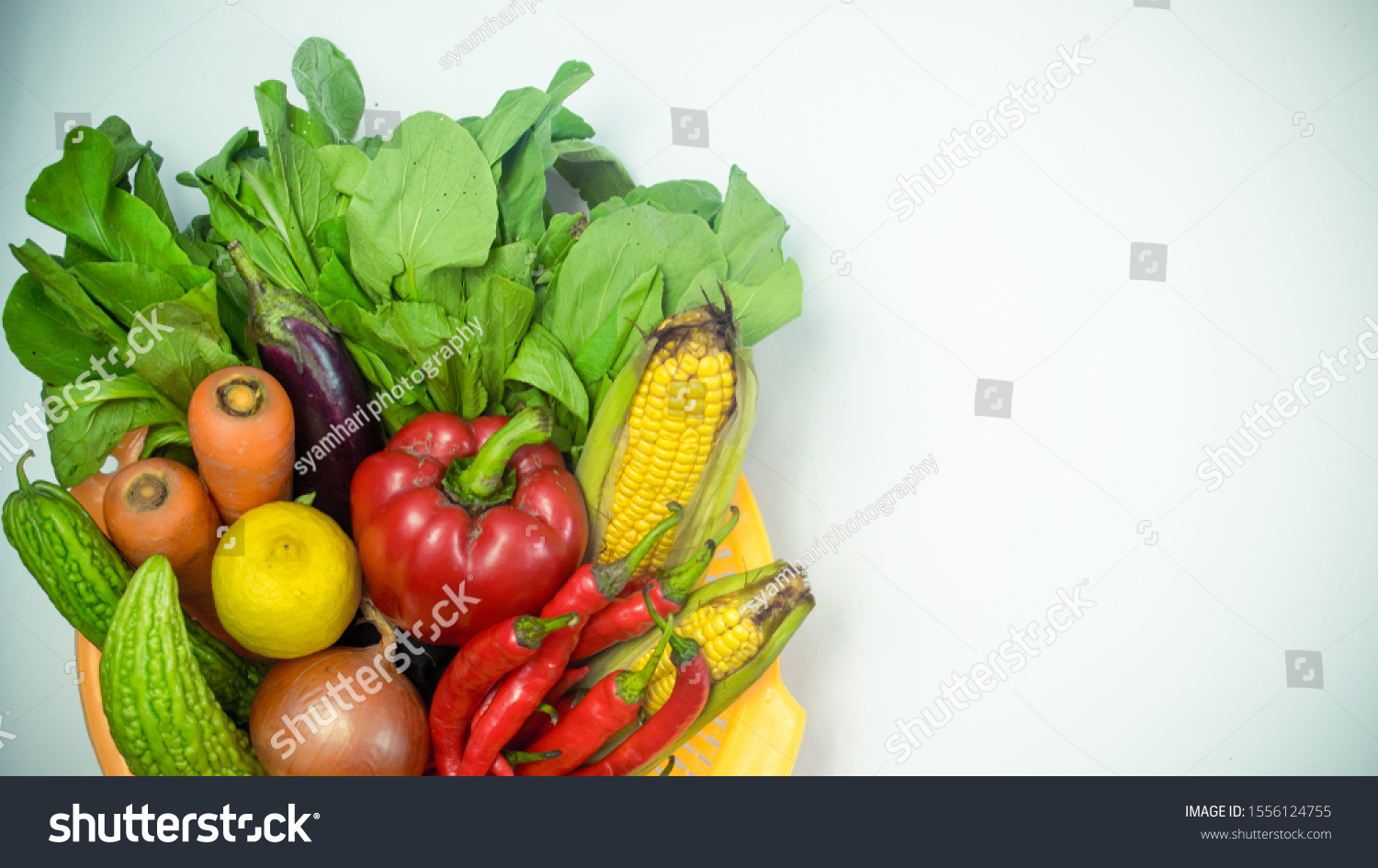 Various Kind Vegetables Isolated Onwhite Background Stock Photo (Edit ...
