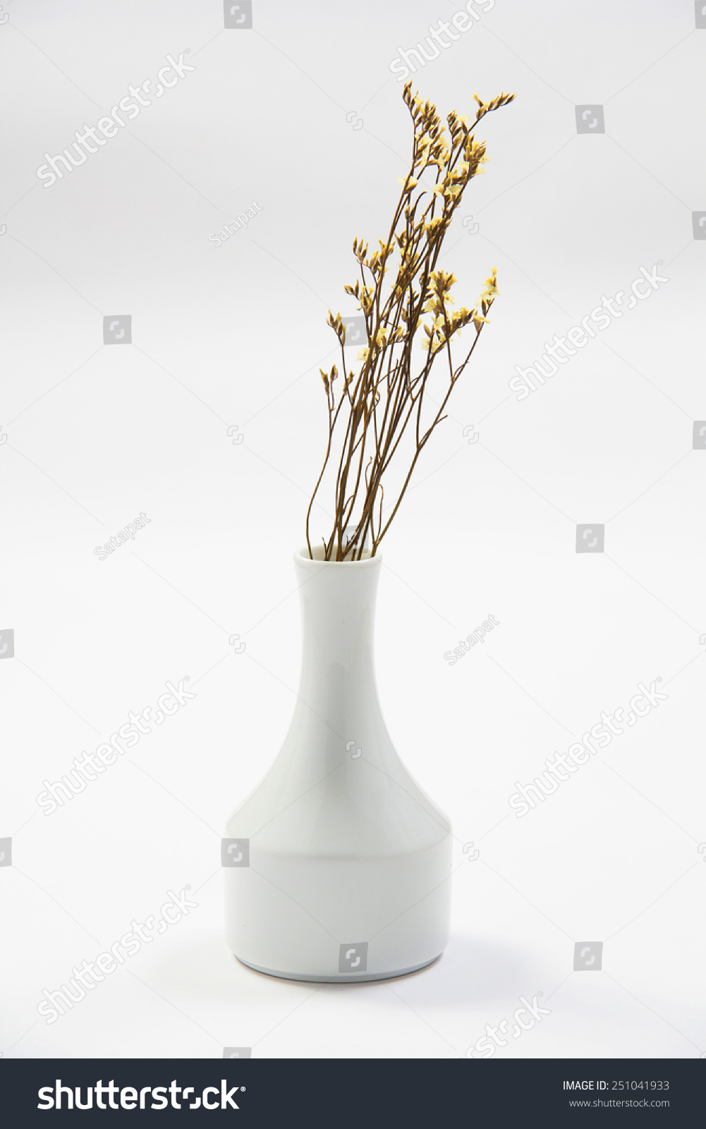 Vase Of Flower Stock Photo 251041933 : Shutterstock
