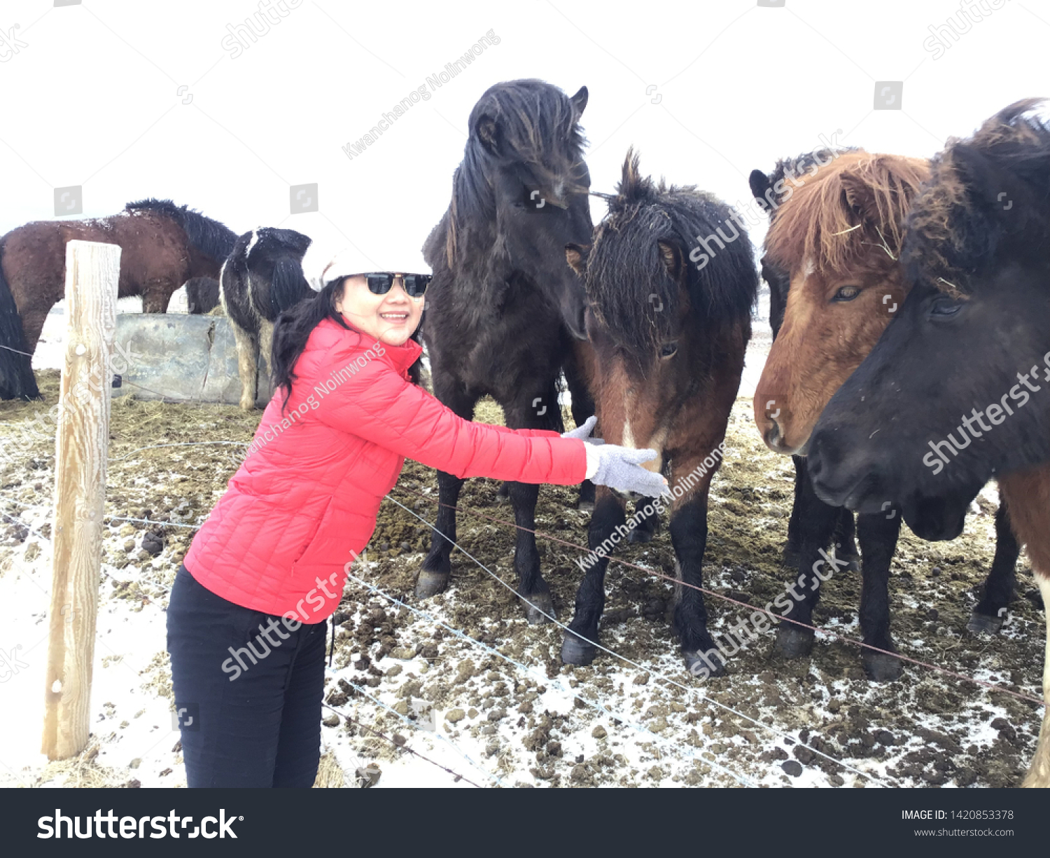 Breeding Women On A Ranch Breeding Women On A Ranch
