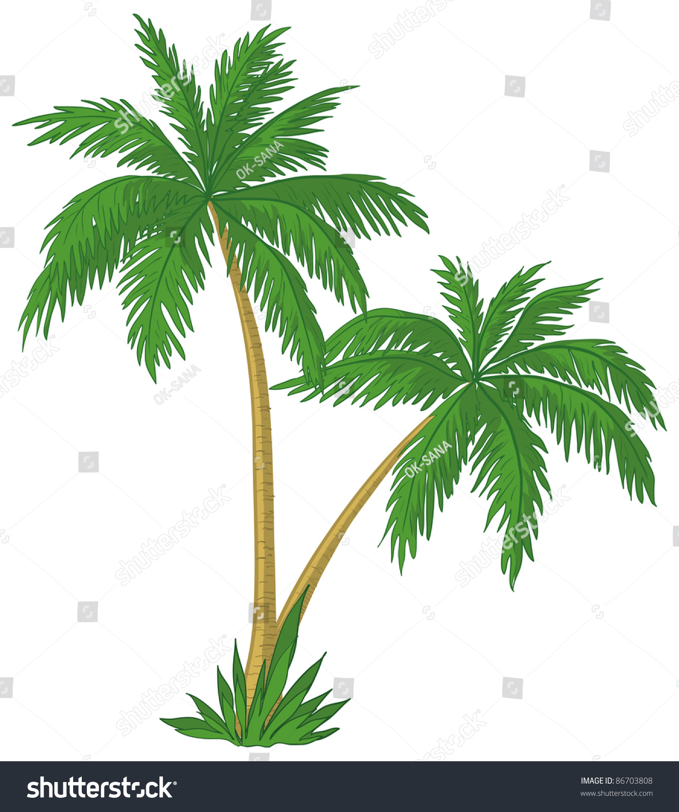 Vector Palm Trees Green Leaves On Stock Illustration 86703808