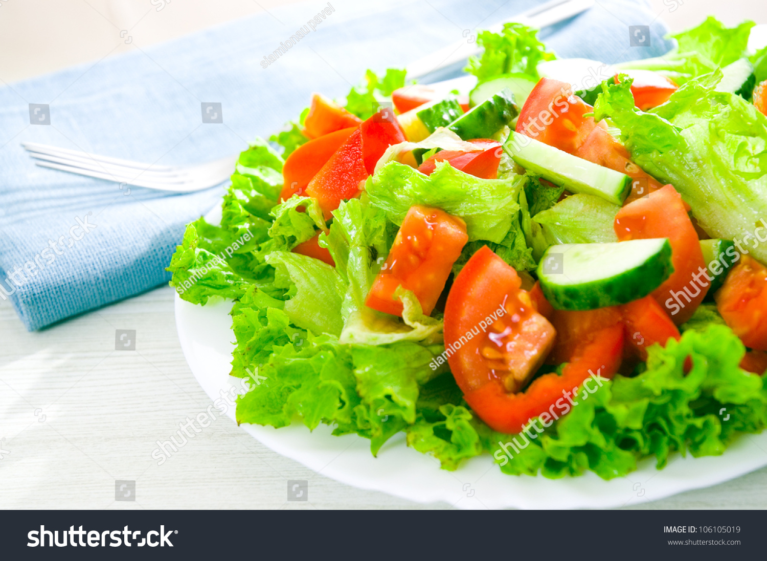 Vegetable Salad On Plate Stock Photo 106105019 : Shutterstock