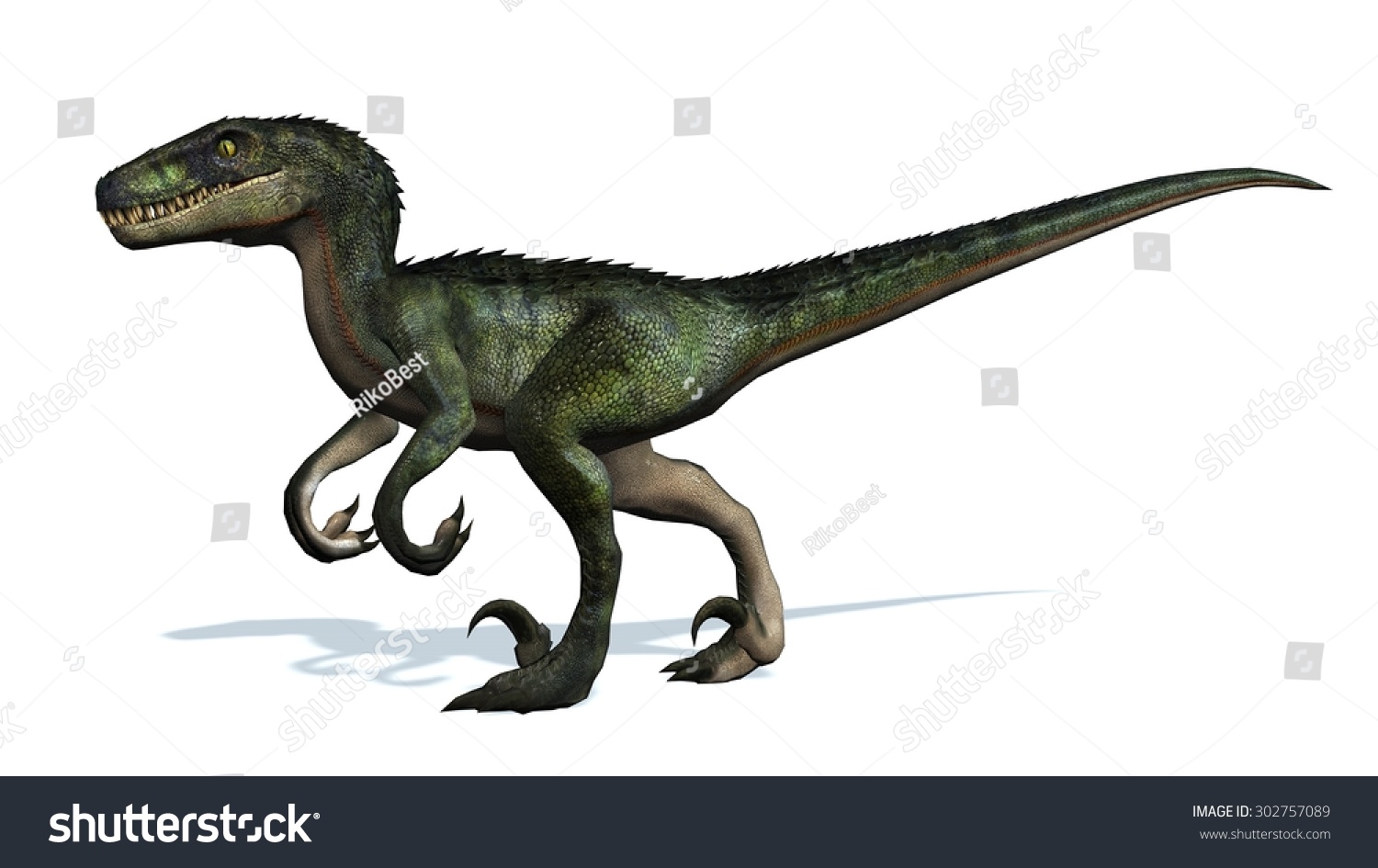 Velociraptor Dinosaur Isolated On White Background Stock Illustration