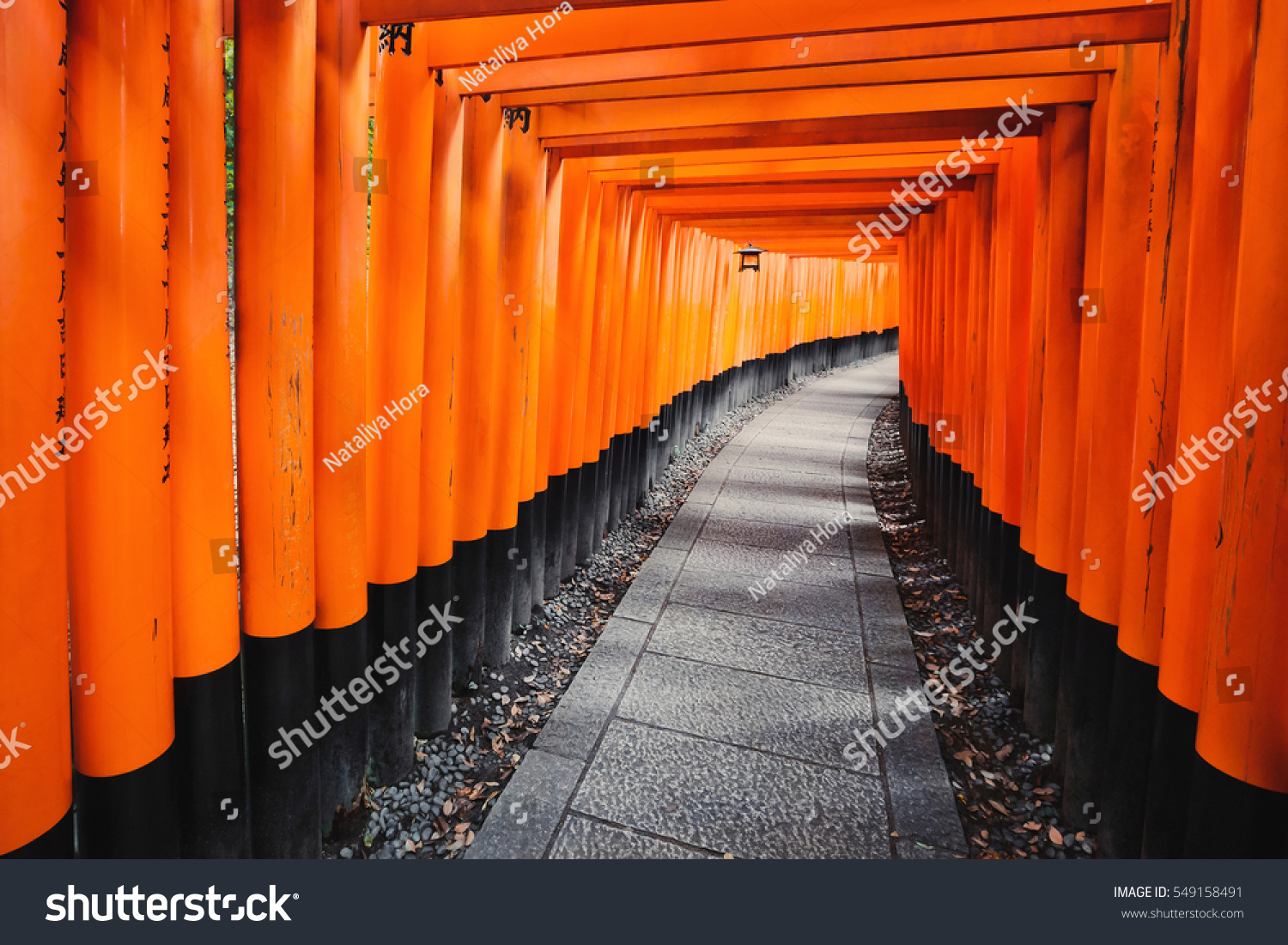 Vermillion Torii Path Fushimi Inari Taisha Stock Photo Edit Now 549158491