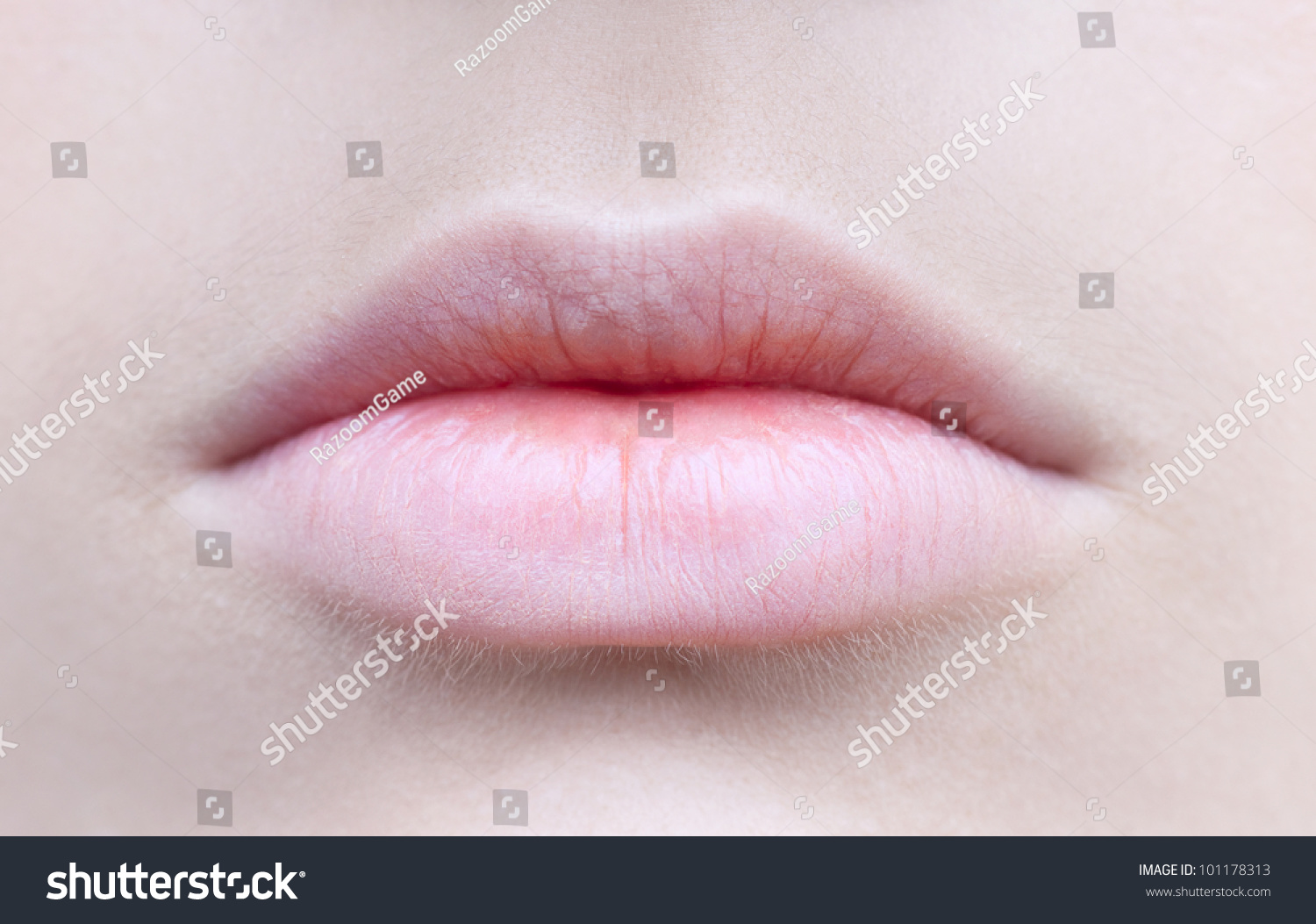 Very Beautiful Lips On The Clean Face Stock Photo 101178313 : Shutterstock