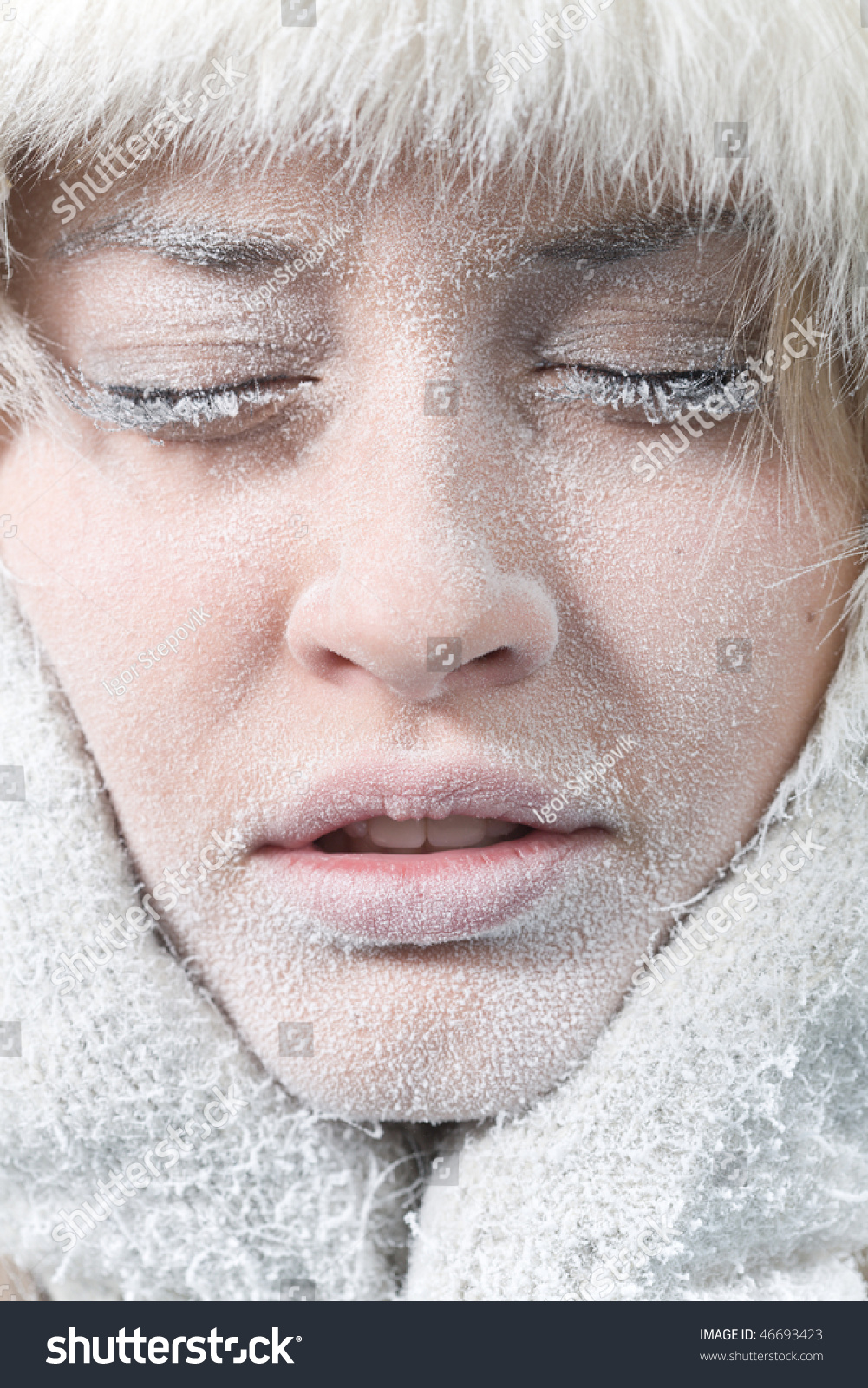 Very Cold Weather Closeup Portrait Chilled Stock Photo 46693423 ...