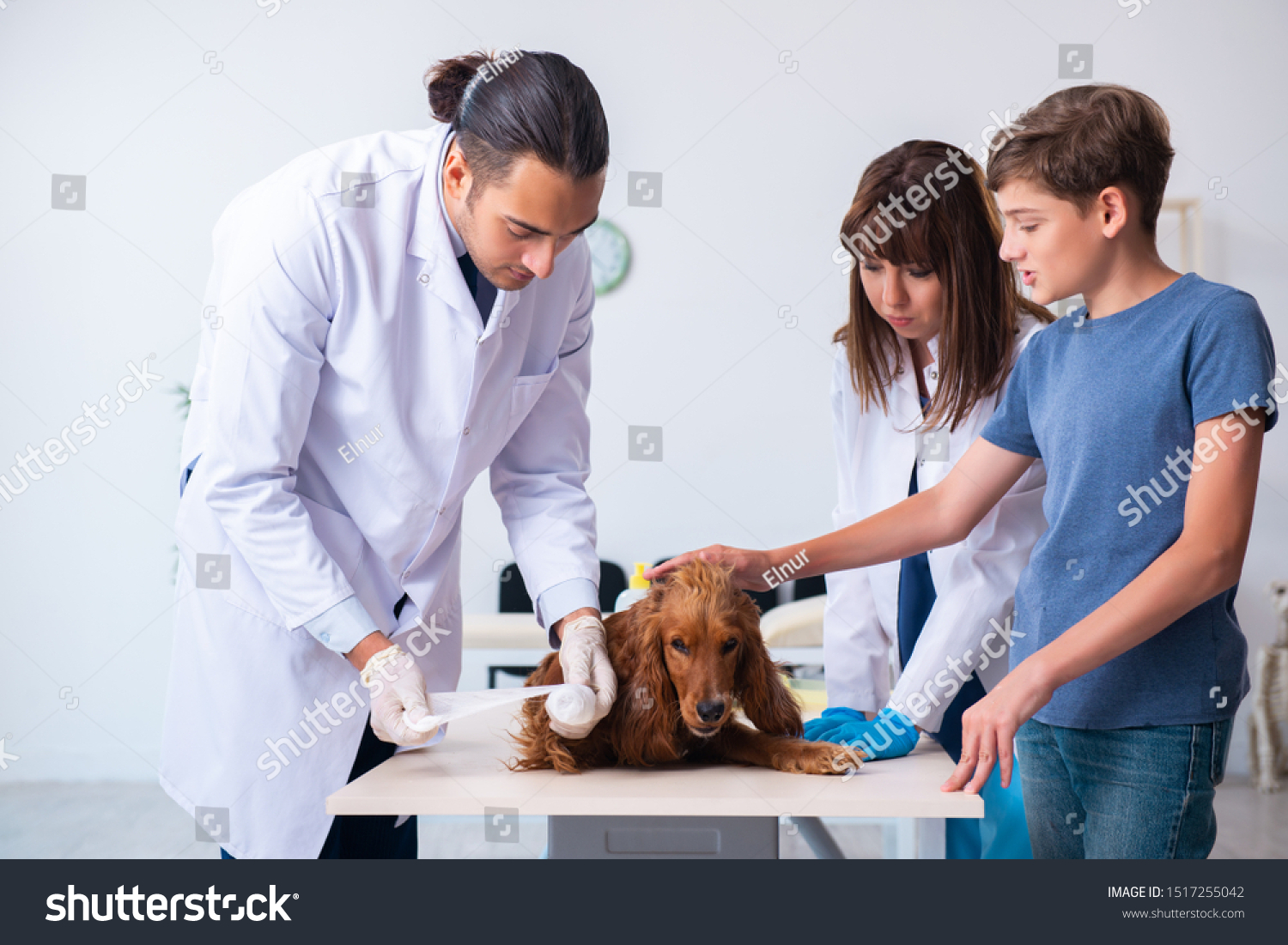  Sky Blue Classic  Template Design Featuring Vet Doctor Examining Golden Retriever
