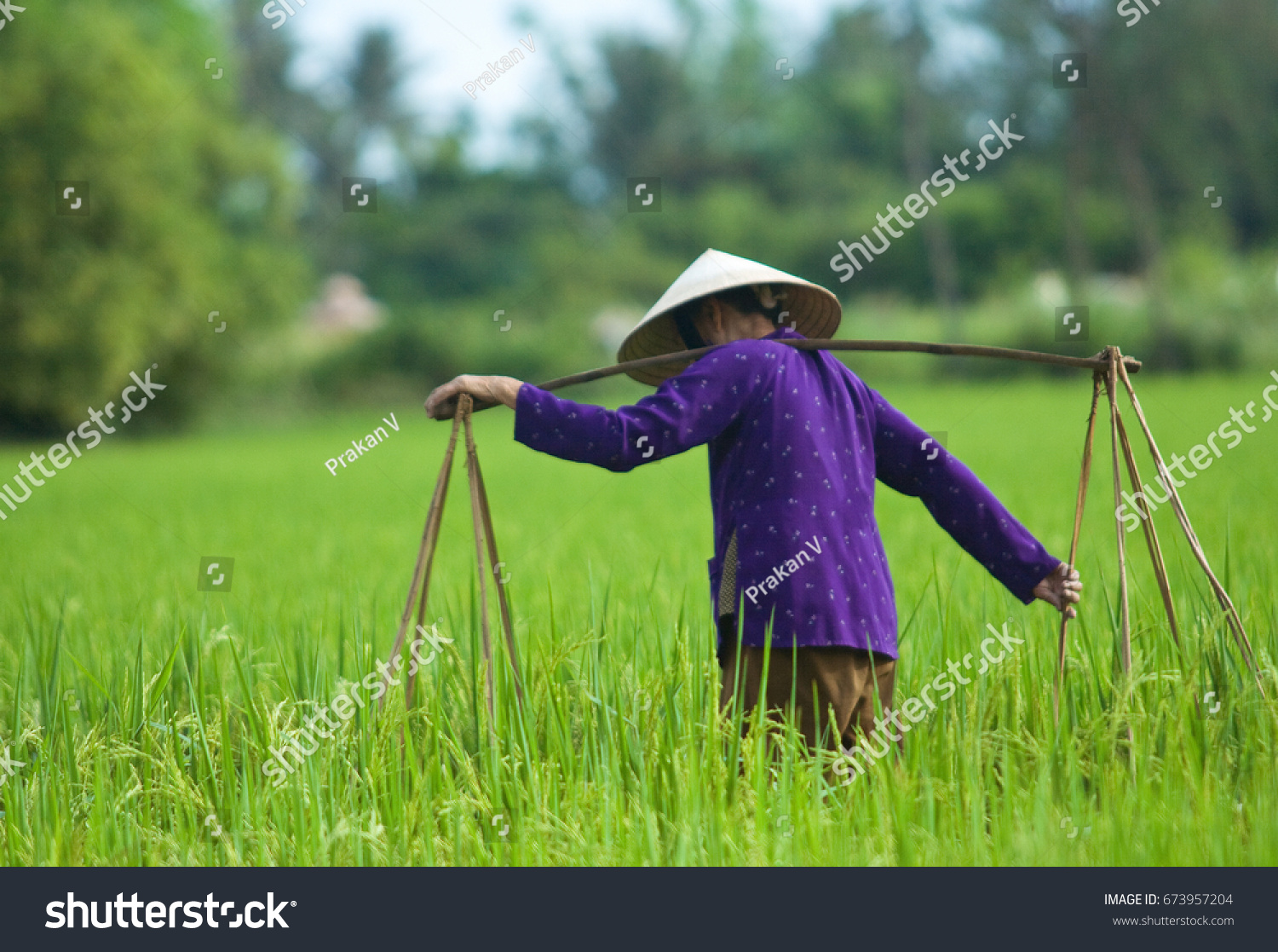Vietnamese Rice Farmer Hat Cheaper Than Retail Price Buy Clothing Accessories And Lifestyle Products For Women Men - rice farmer roblox id