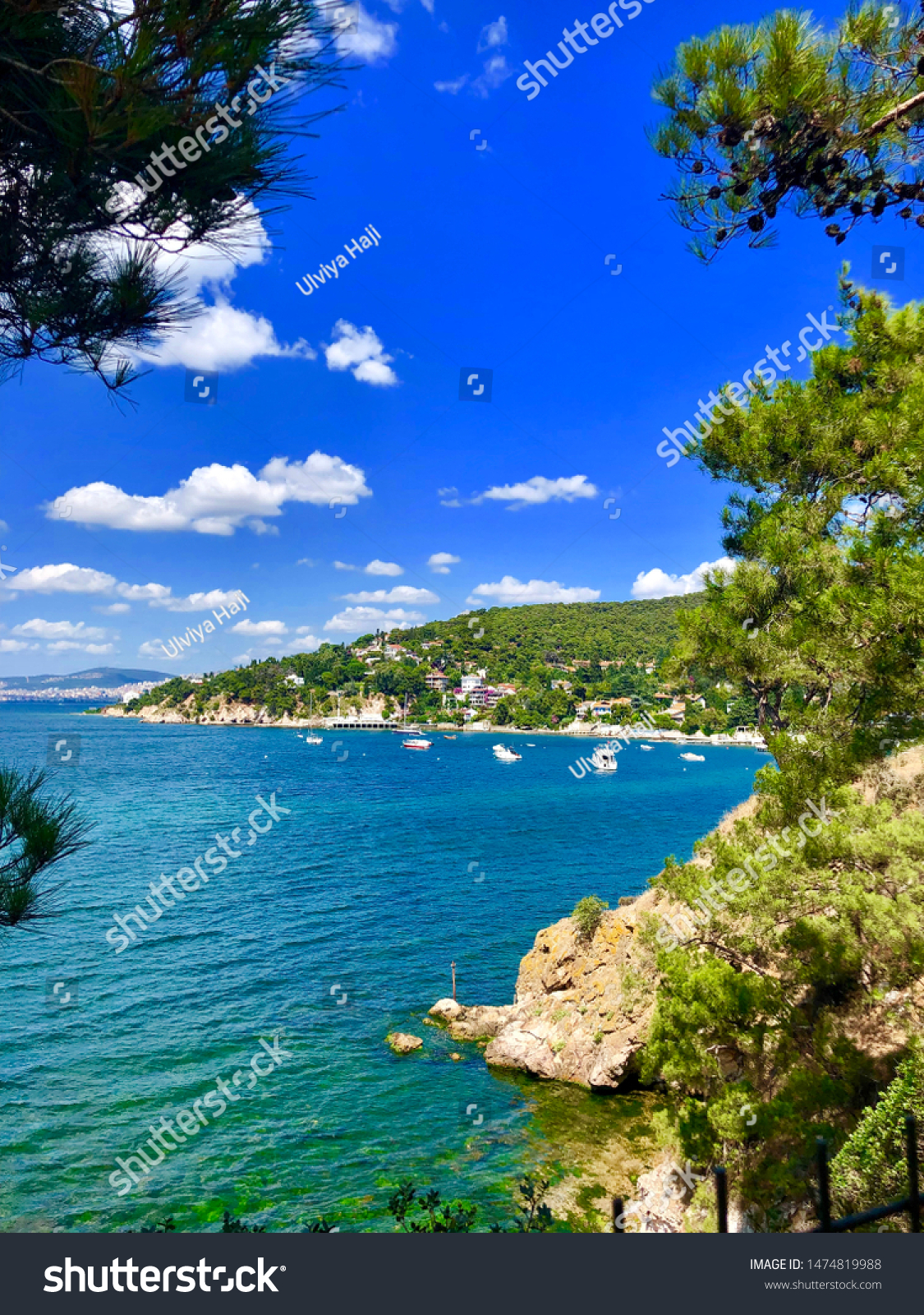 View Dilburnu Nature Park Buyukada One Stock Photo Edit Now 1474819988