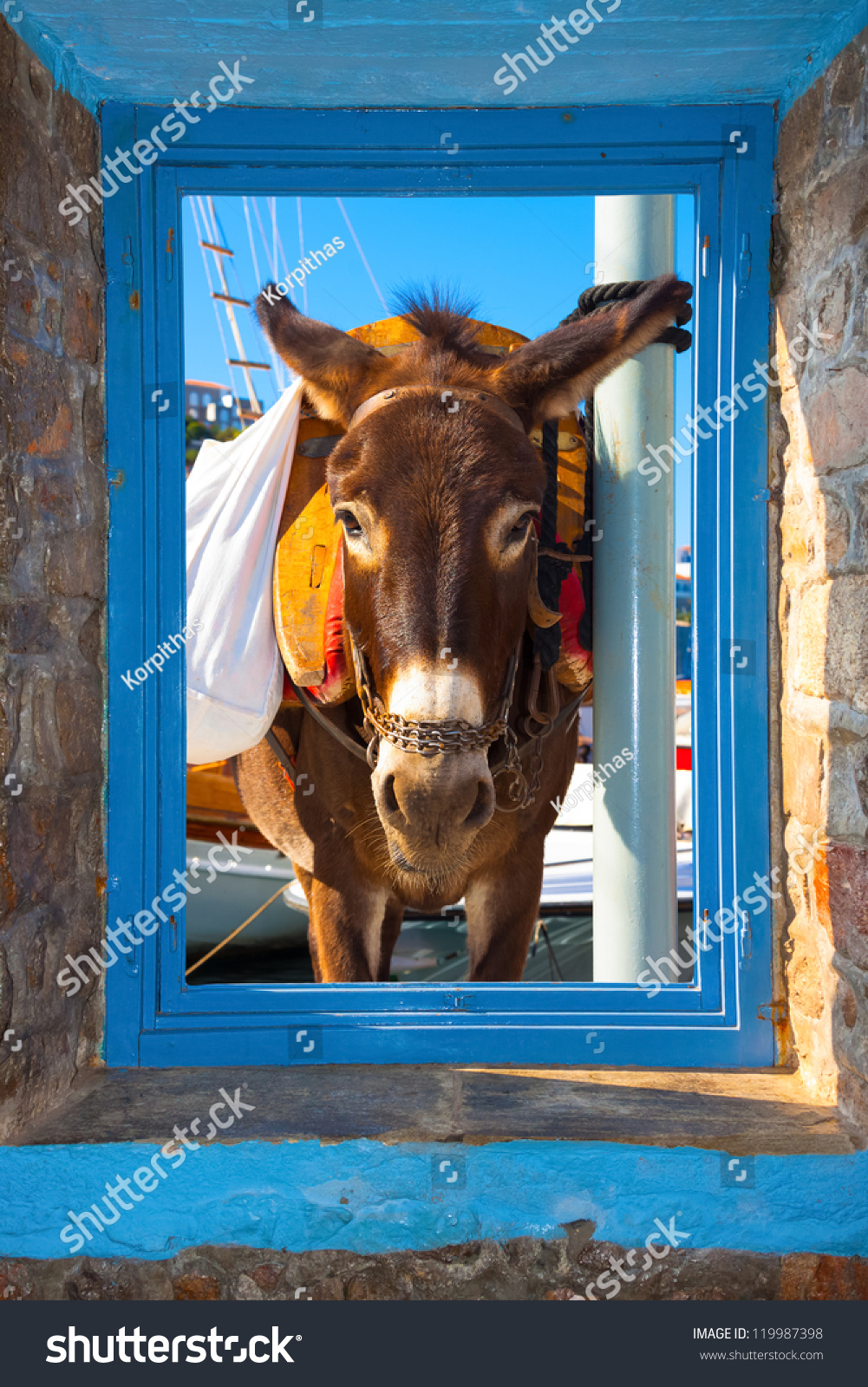 donkey frame