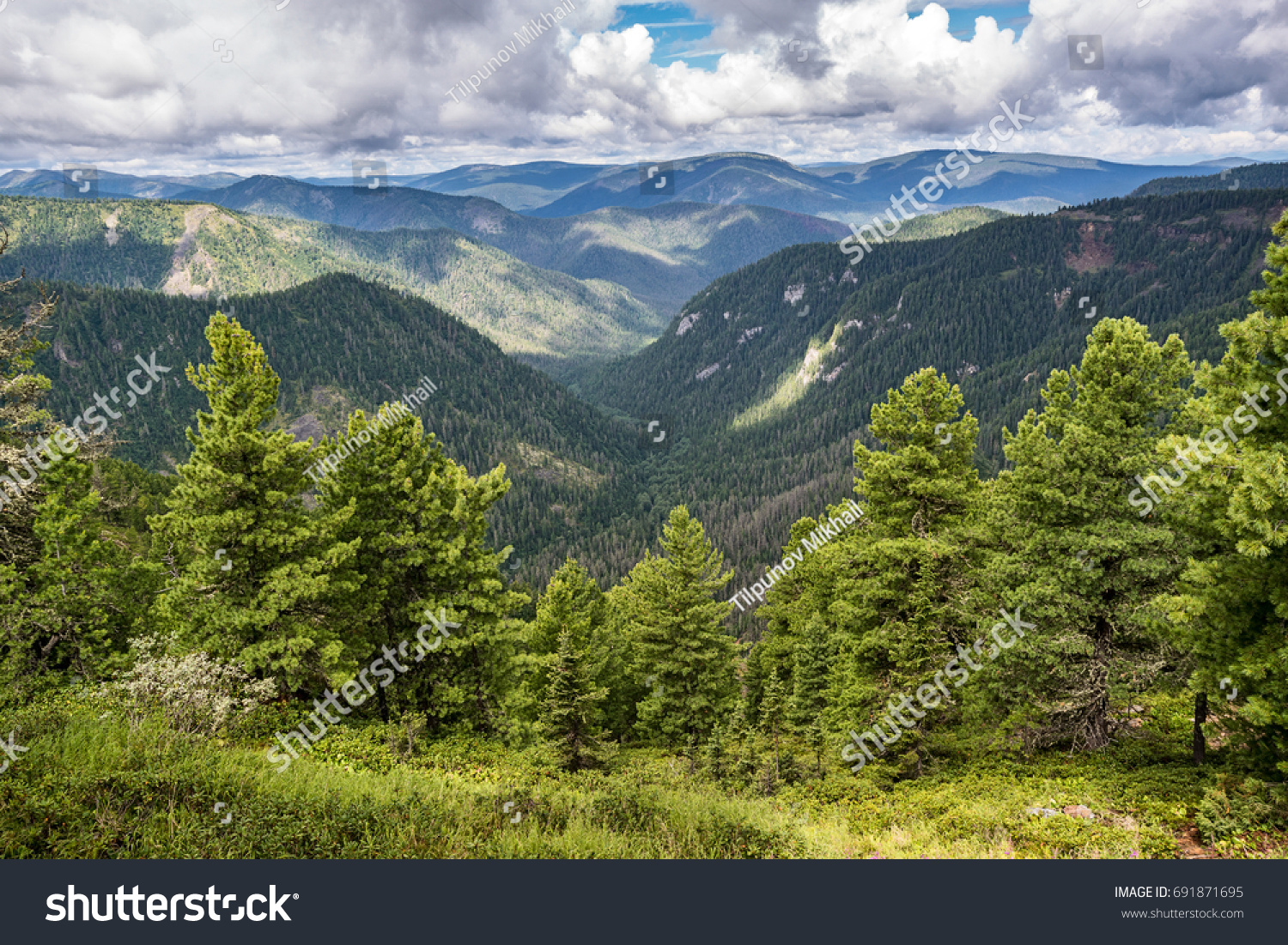 Хамар дабан фото