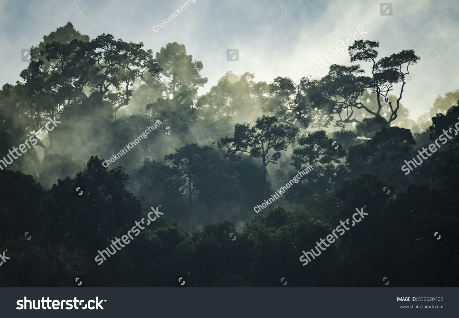 20,750 Misty jungle Images, Stock Photos & Vectors | Shutterstock