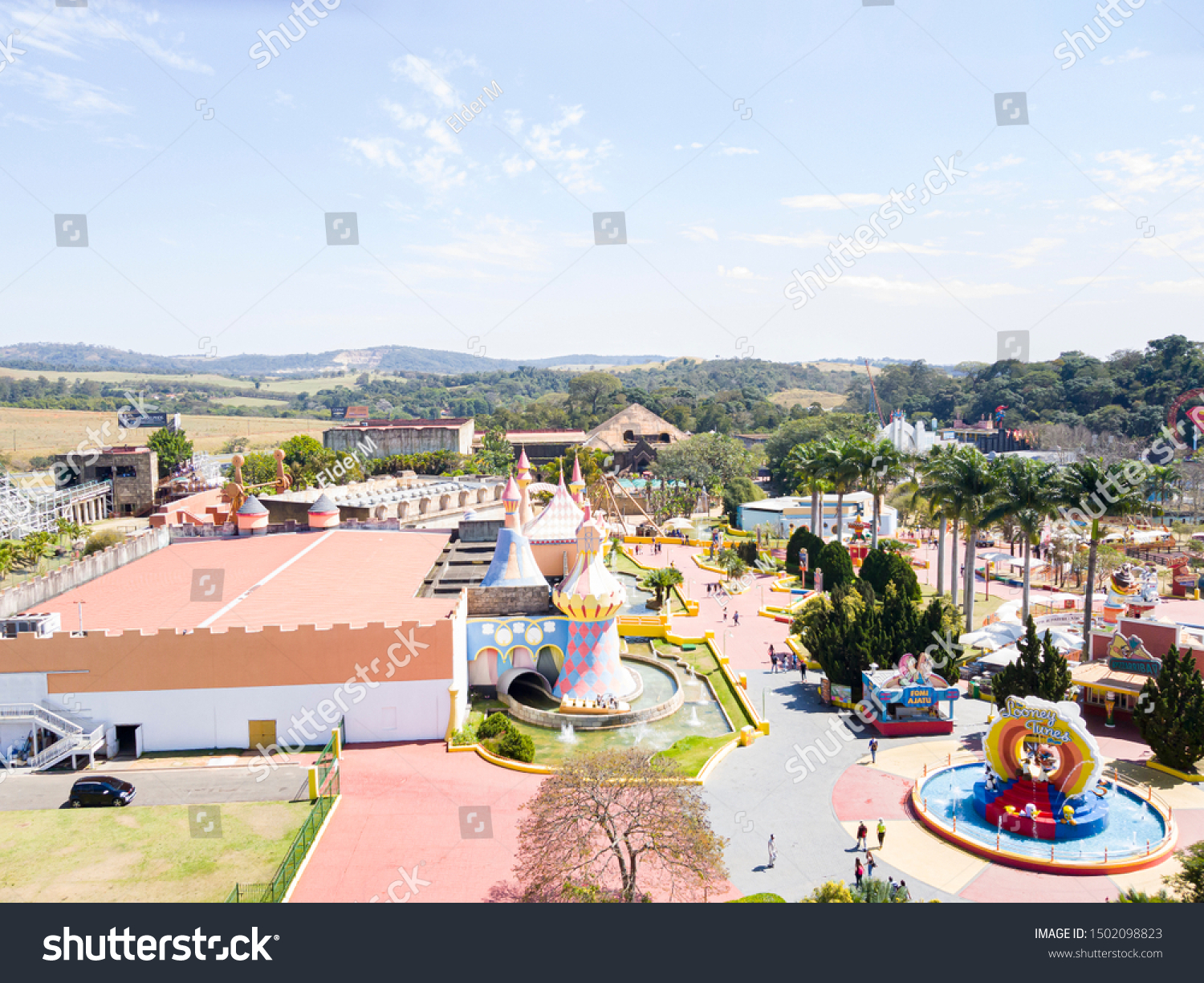 Vinhedo São Paulo fonte: image.shutterstock.com